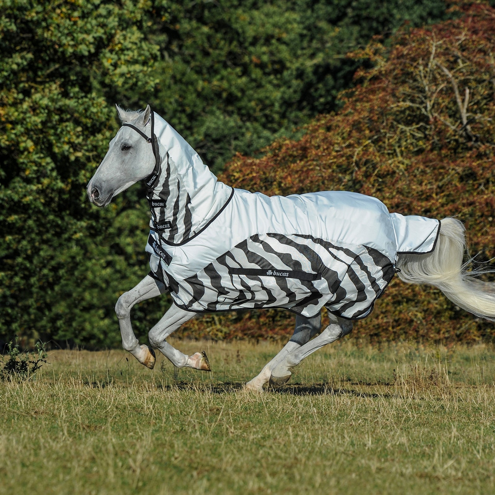 Bucas Buzz-off Zebra Rain Full Neck Fliegendecke mit festem Halsteil Pferdedecken