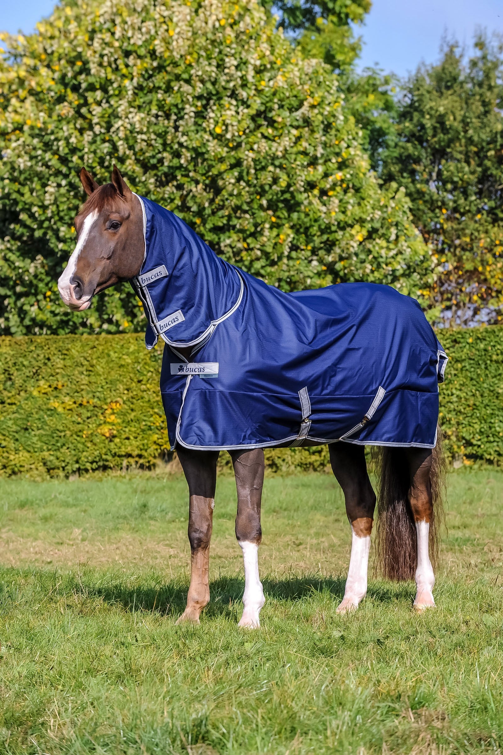 Bucas Freedom Pony Turnout Rug with fixed Full Neck (150g / 150g) Horse Rugs