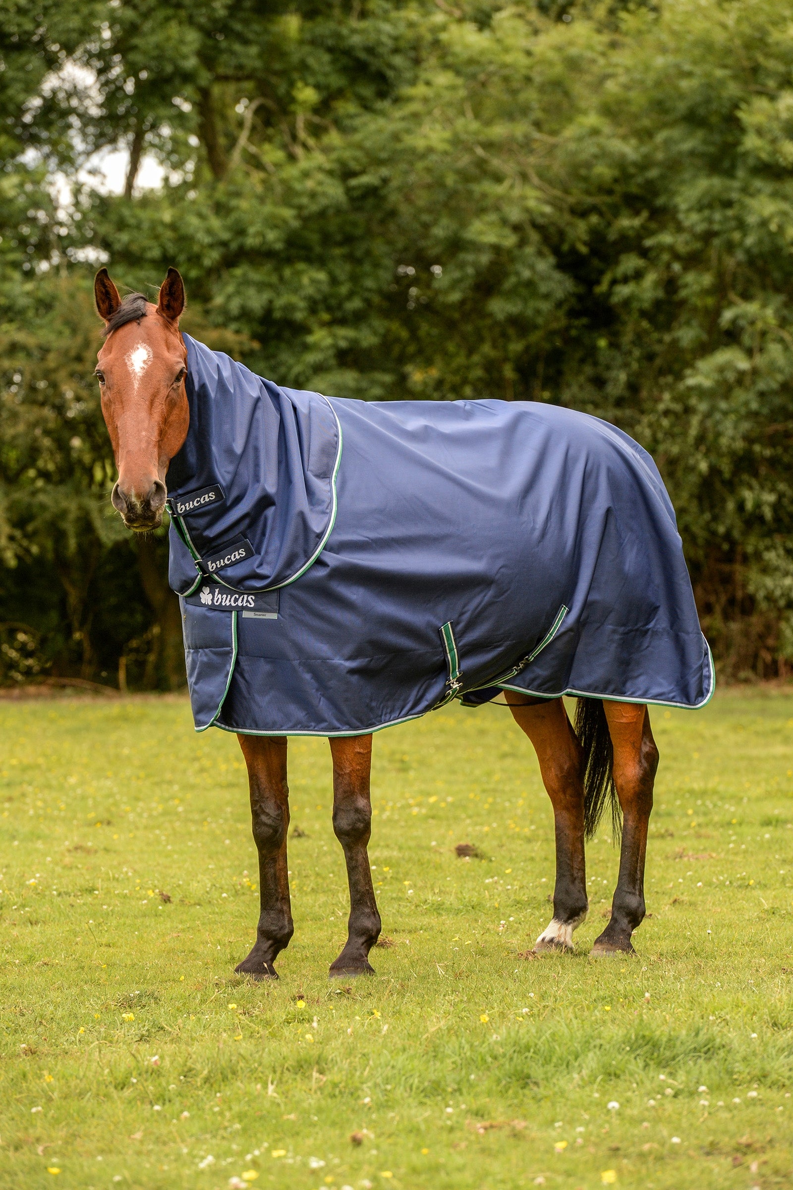 Bucas Smartex Rain Pony Regendecke mit Abschwitzfunktion, 0g Pferdedecken