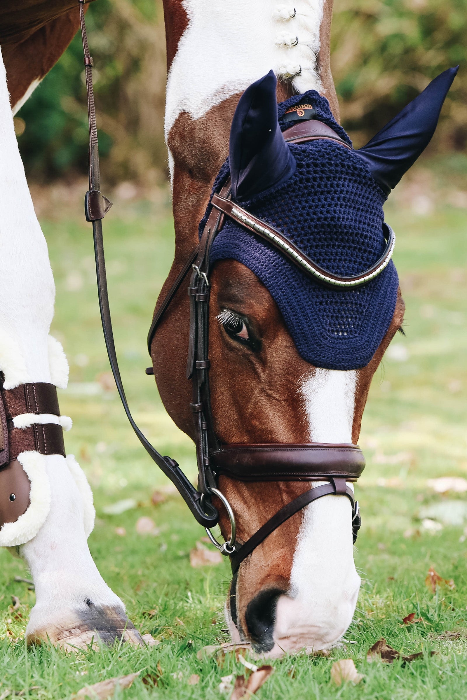 Kentucky Horsewear Fly Veil Wellington Saddle Pads