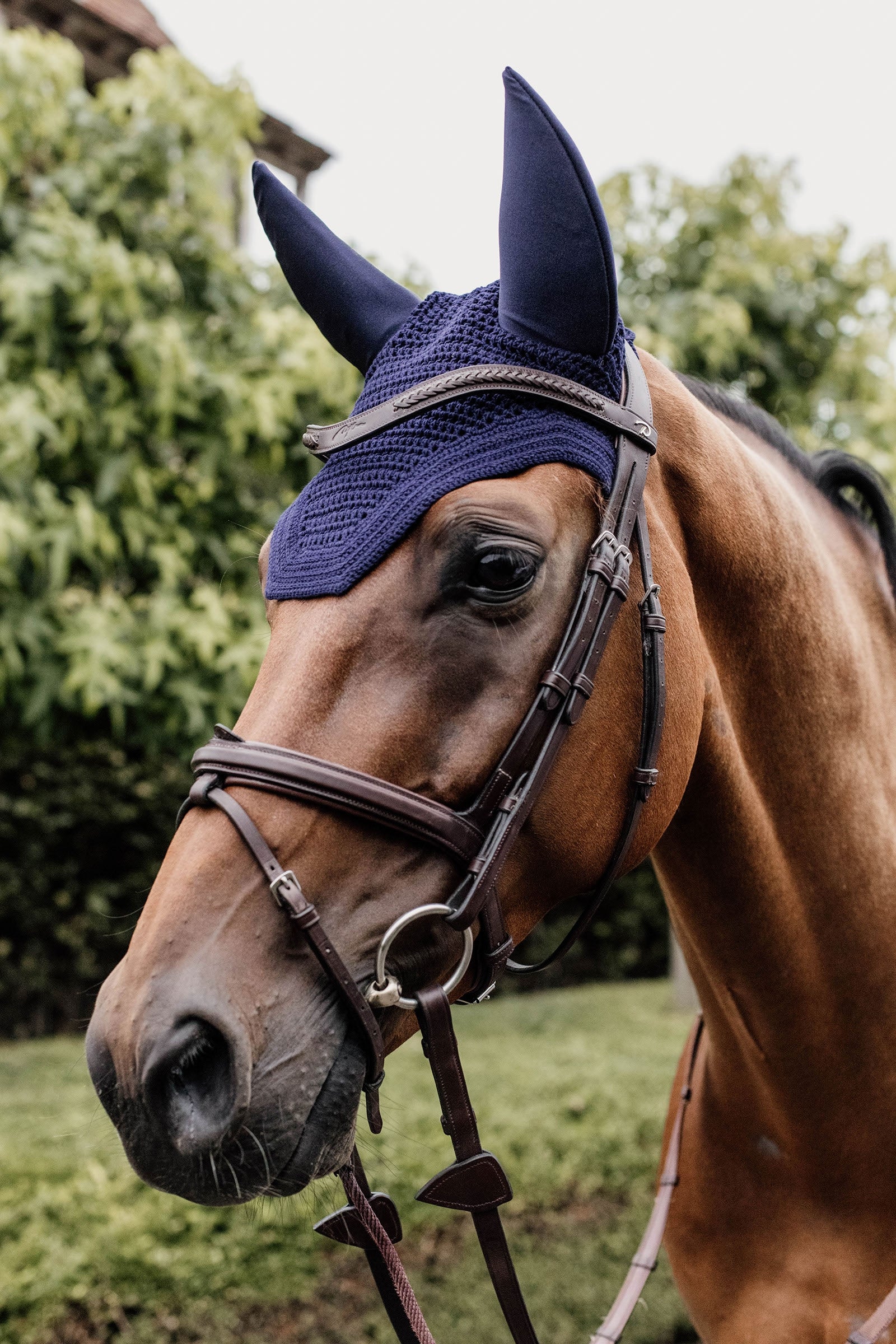 Kentucky Horsewear Wellington Fliegenhaube Schalldicht Schabracken