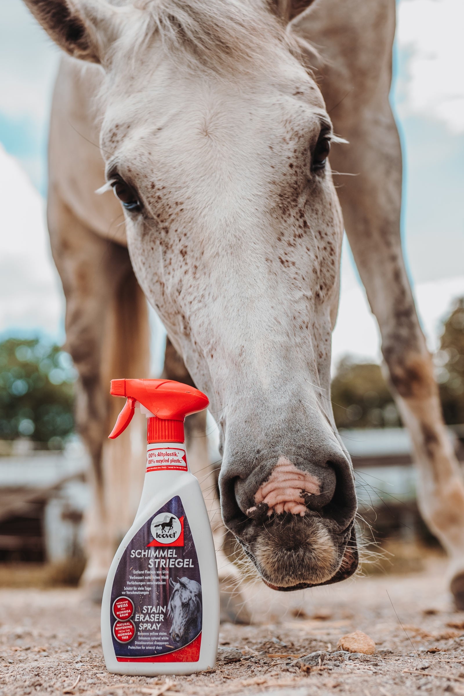 Leovet Stain Eraser Spray Horse Health Care