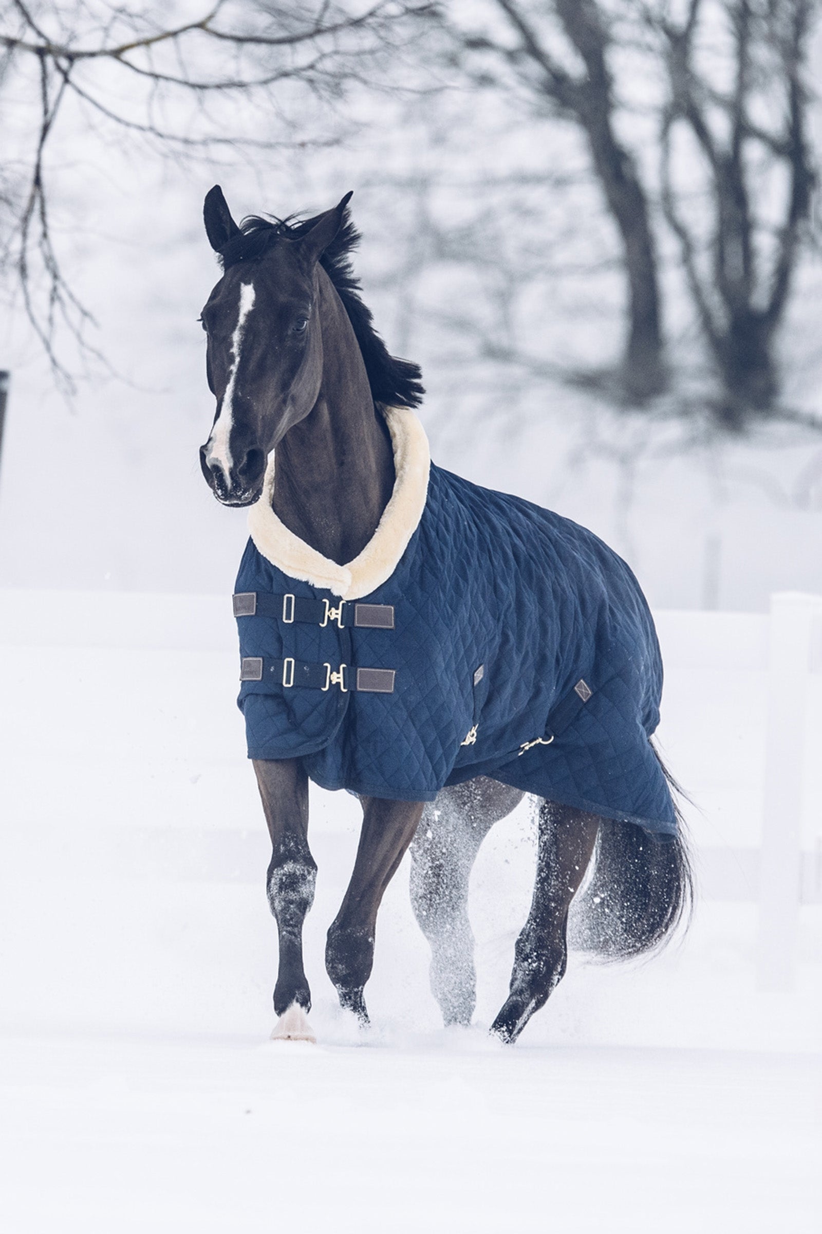 Kentucky Horsewear Turnierdecke,160g Pferdedecken