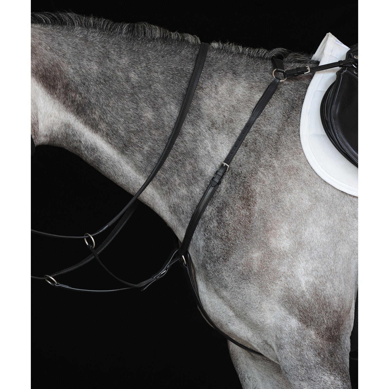 Collegiate Hunter Vorderzeug IV Trensenzäume & Zügel