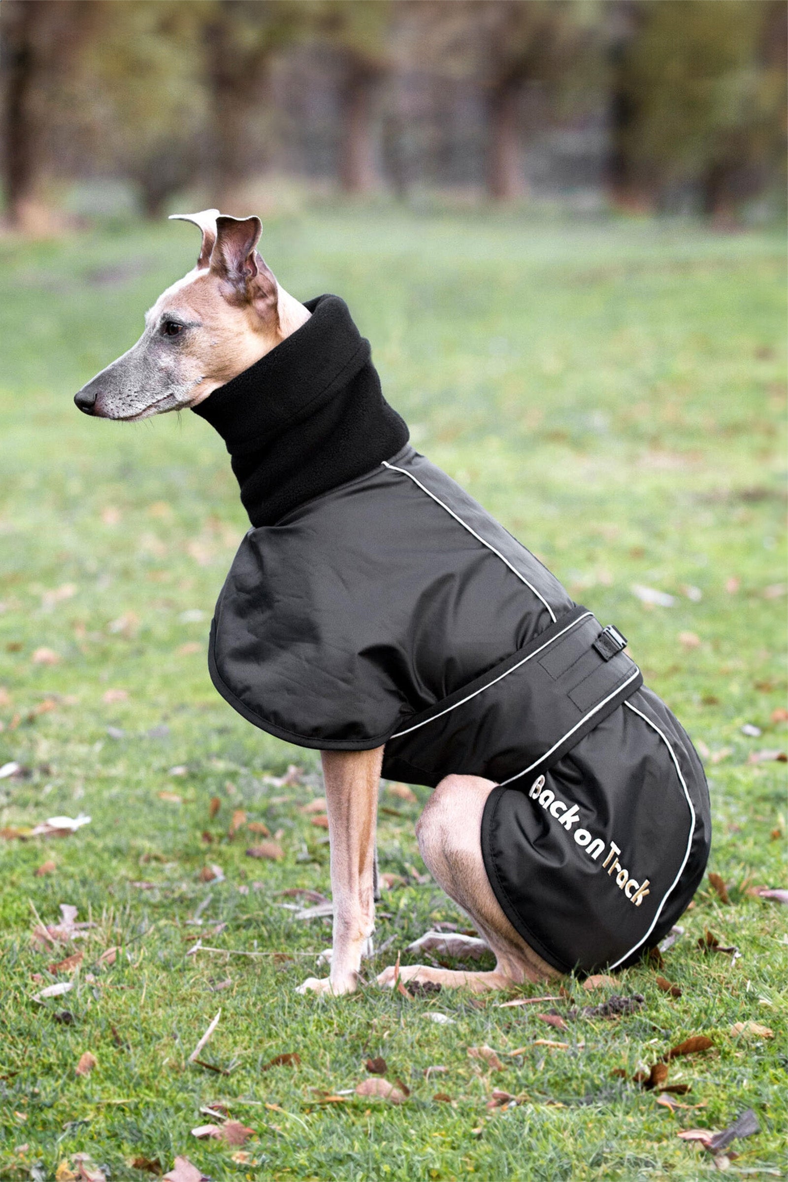Back on Track Windhund Hundemantel, XS-M Hund