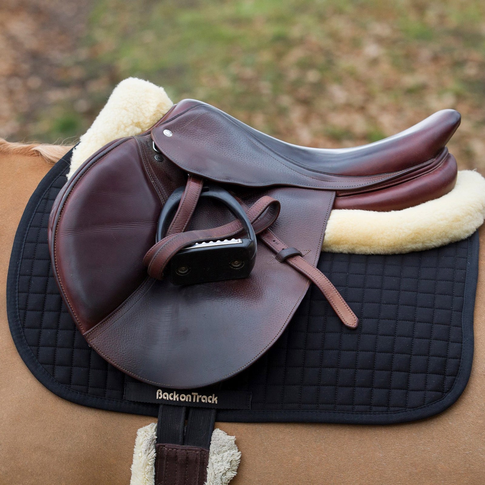 Back on Track Saddle pad Jumping, No. 1 Saddle Pads