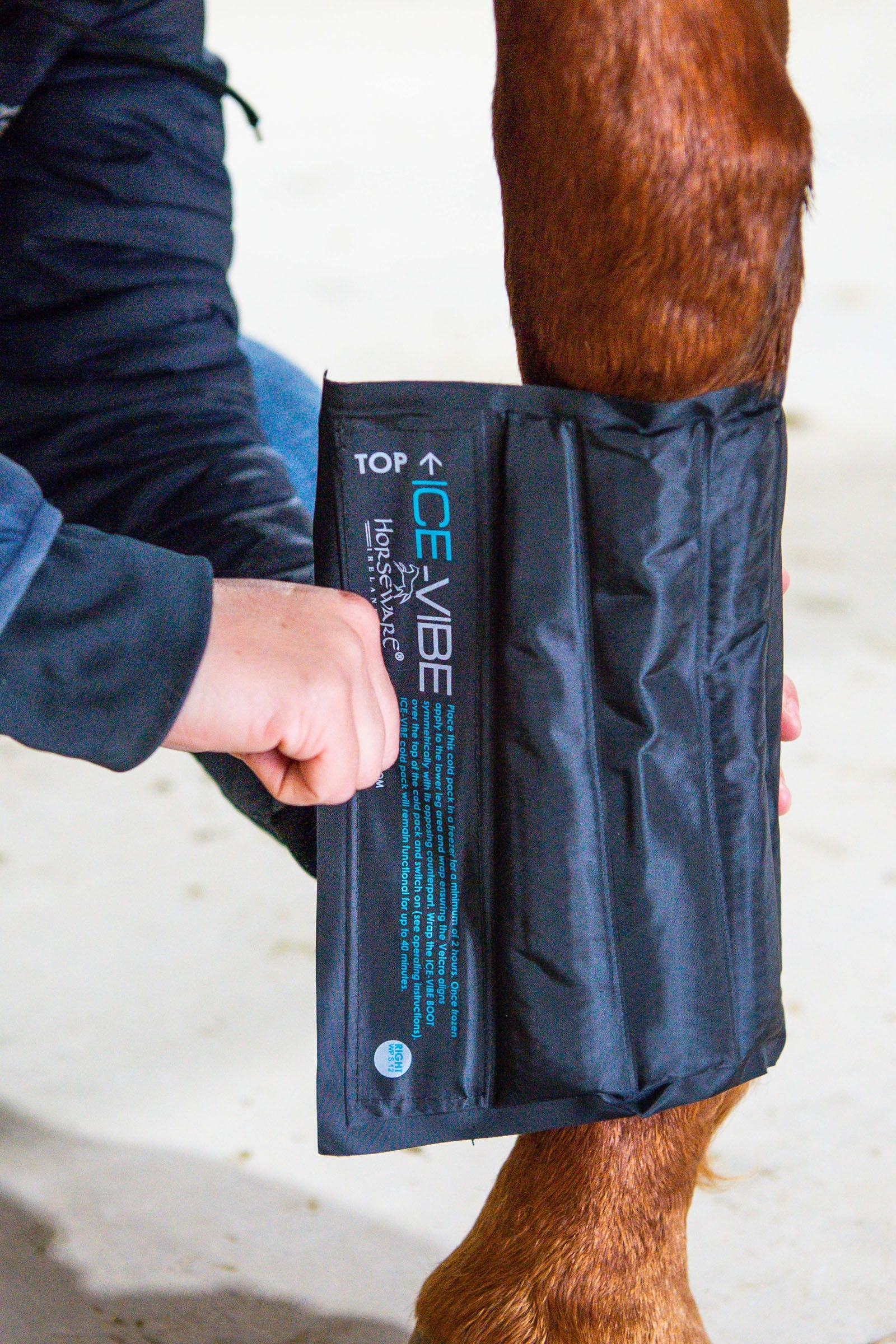 Ice-Vibe Gamaschen Black/Aqua Blue F horze Ice-Vibe Gamaschen Black/Aqua Blue F horze