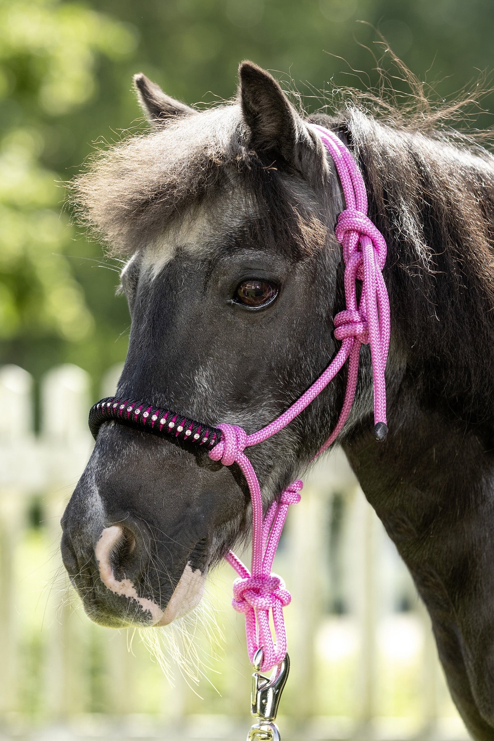 USG Knotted Rope Halter Halters & Leads