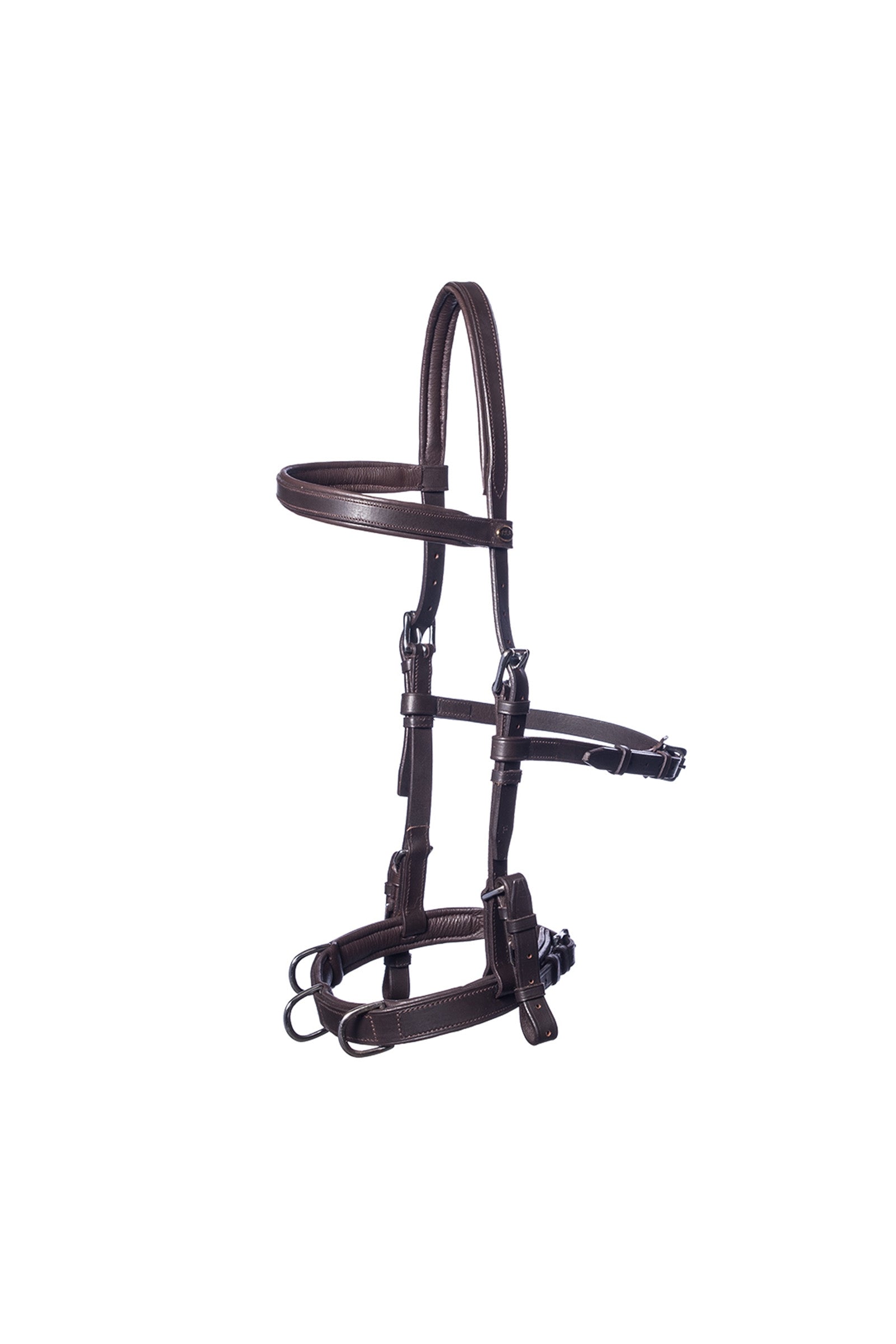 F.R.A. Freedom Riding Articles Baro Kappzaum, Leder (Shire) Longieren & Bodenarbeit