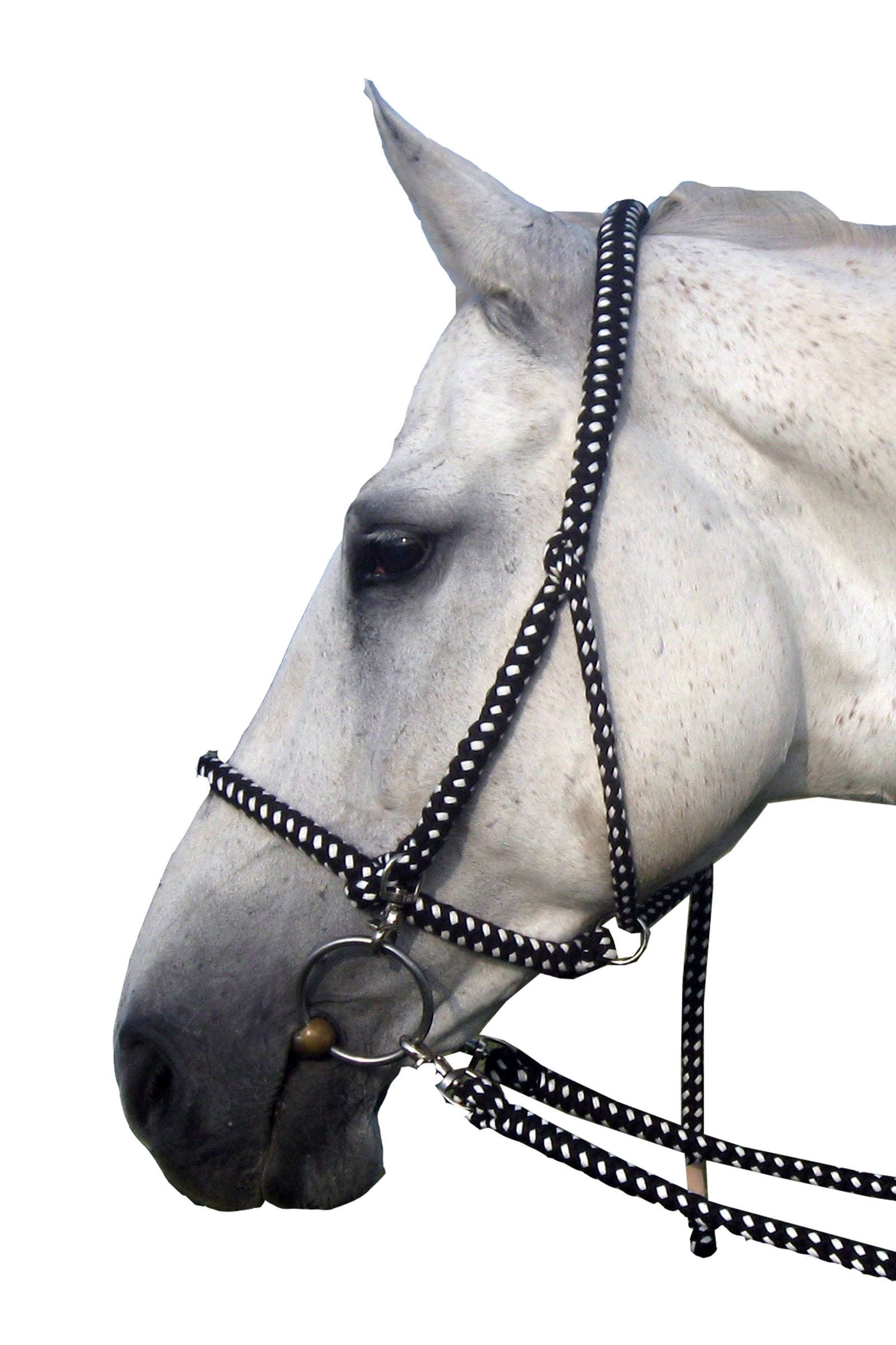 F.R.A. Freedom Riding Articles Gregor Halter-Bridle Cotton Reins Included Halters & Leads
