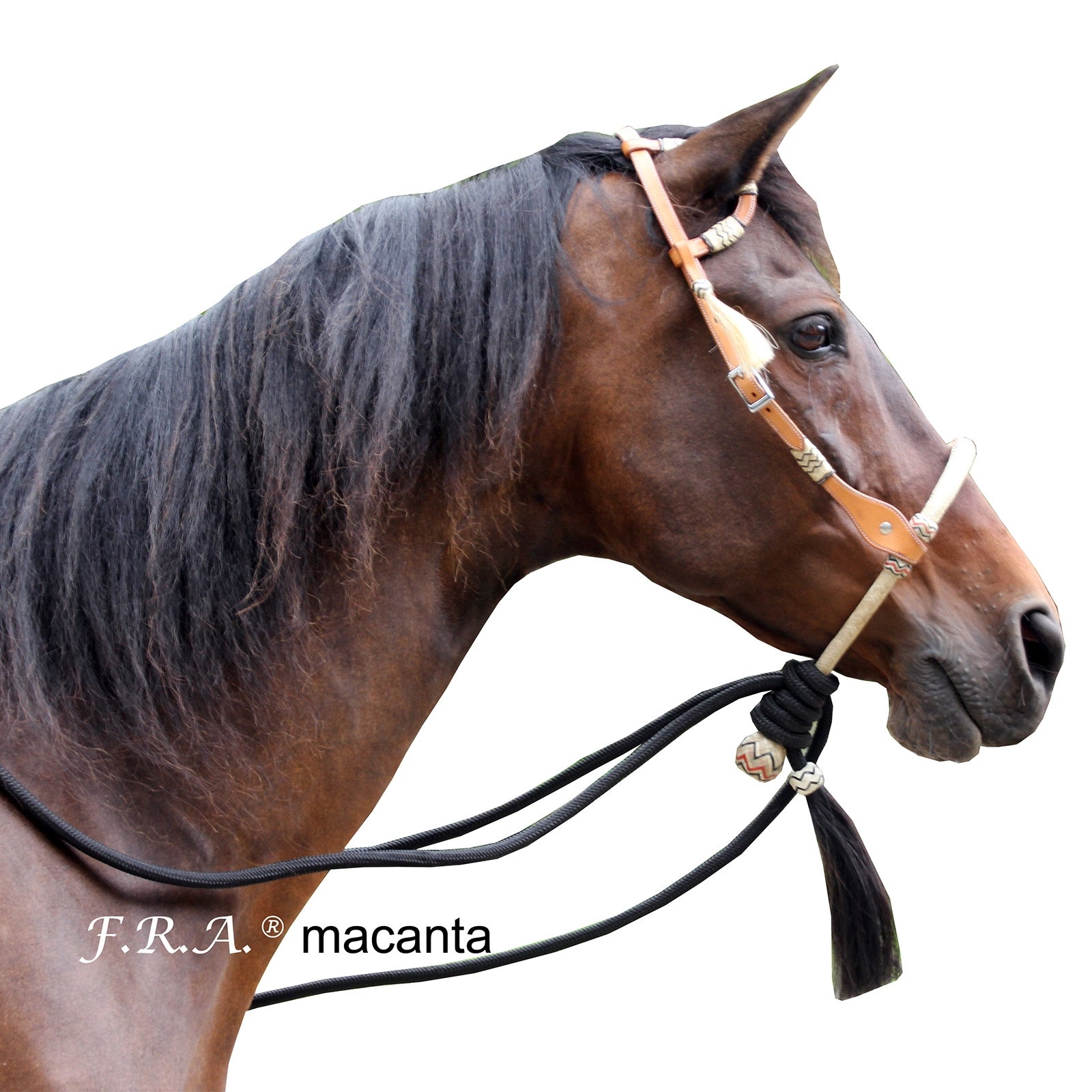 F.R.A. Freedom Riding Articles Macanta Complete Bosal Bridle (System 2) Trensenzäume & Zügel