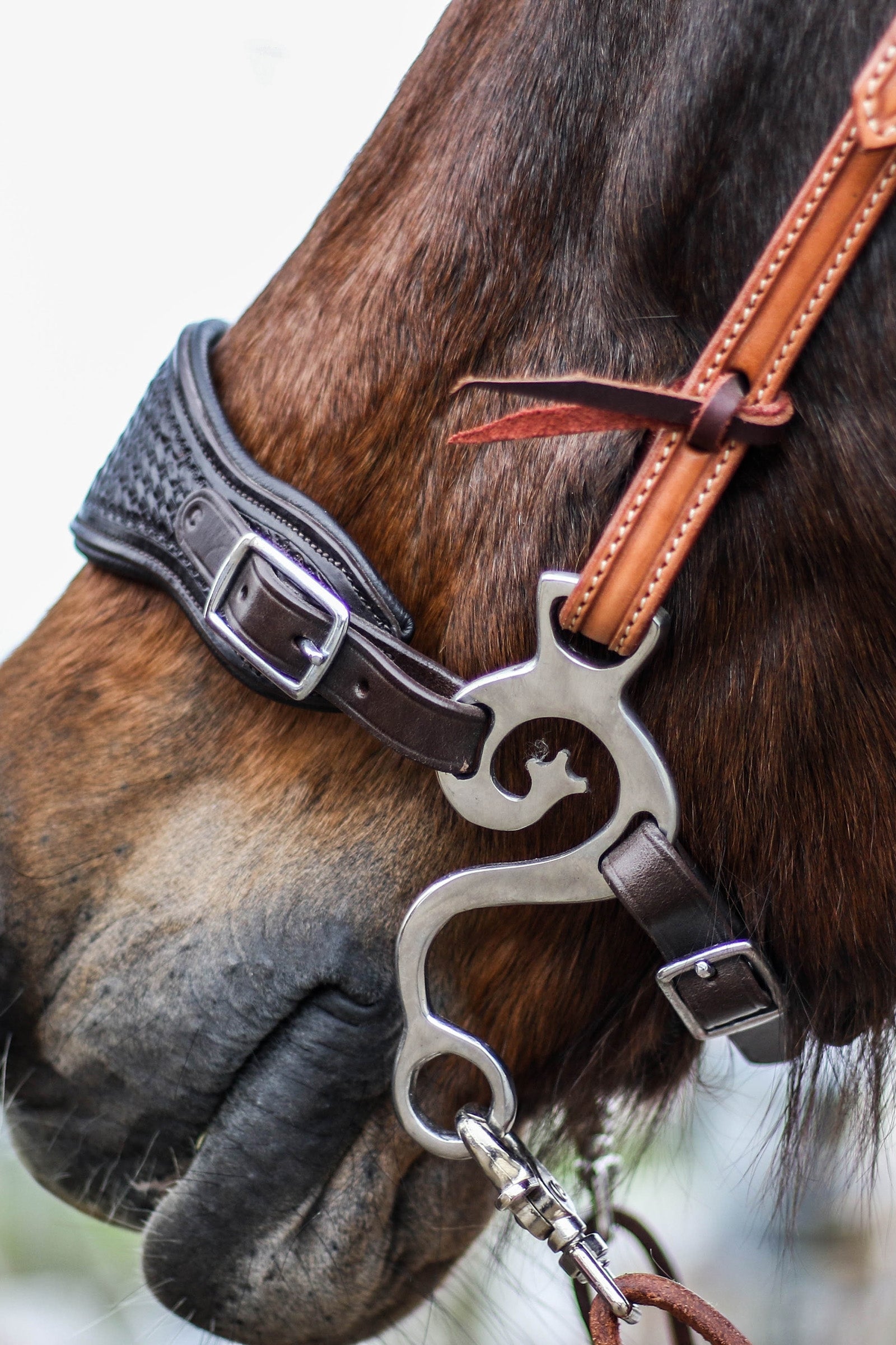 F.R.A. Freedom Riding Articles Music Set Hackamore SS, 140mm Horse Bits