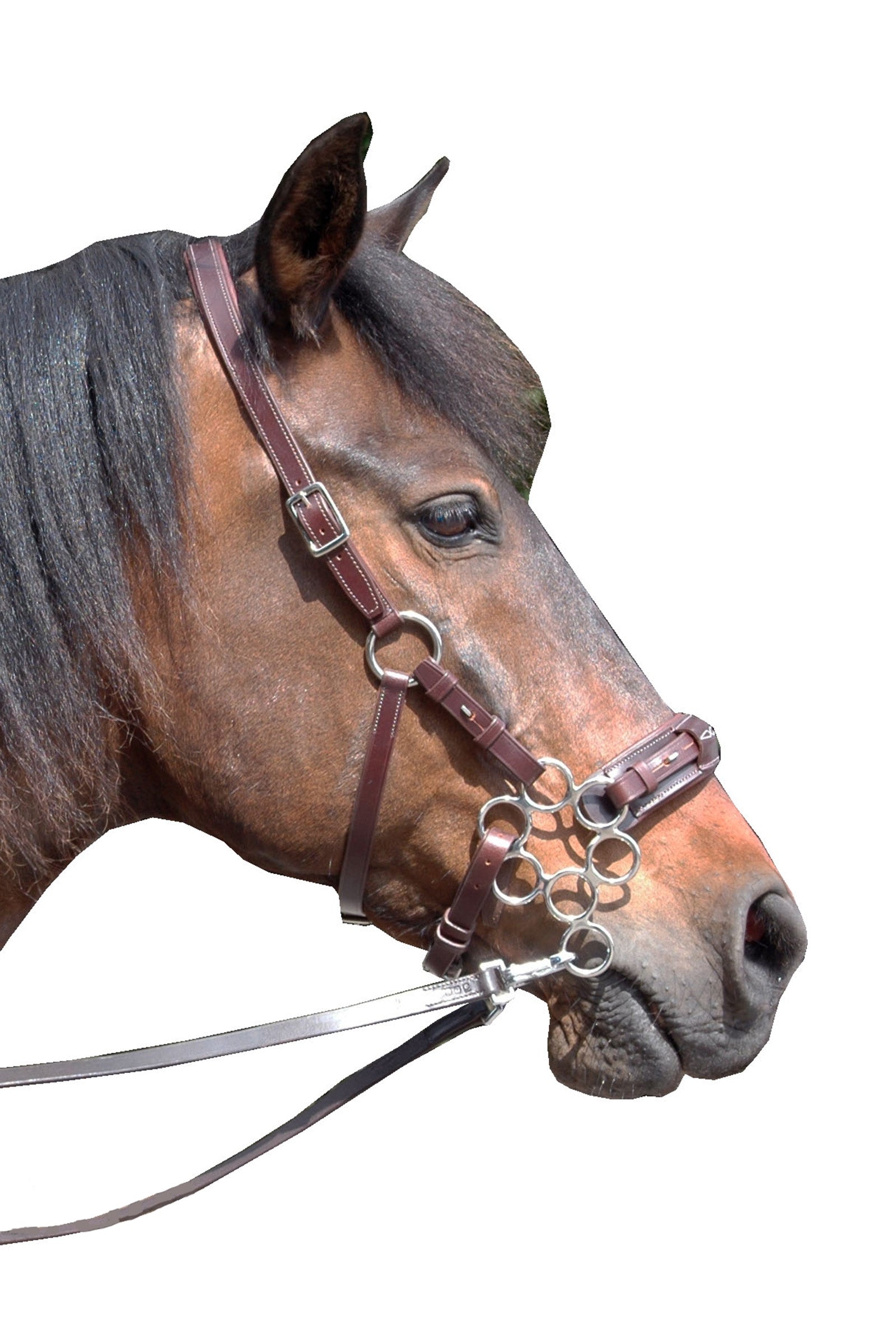 F.R.A. Freedom Riding Articles Aram Hackamore (System 2) Leather, Jaw Straps, w/ Scissors Trensenzäume & Zügel