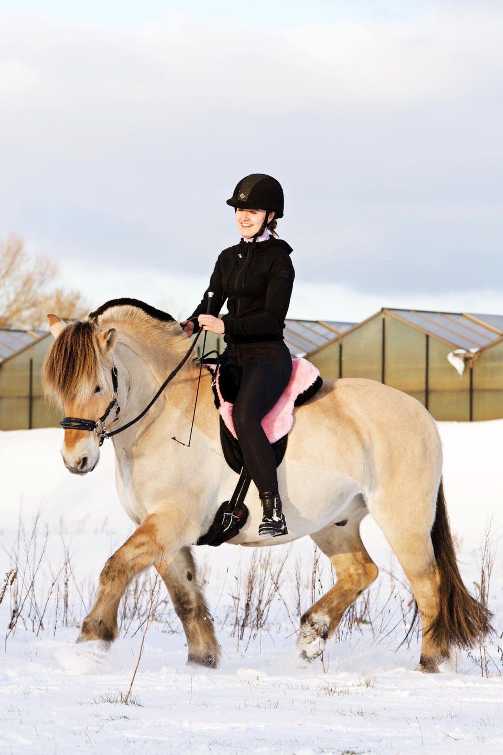 F.R.A. Freedom Riding Articles Macon Extra Merino Bareback Pad, Knee Rolls & Inlays, S Saddles, Girths & Stirrups