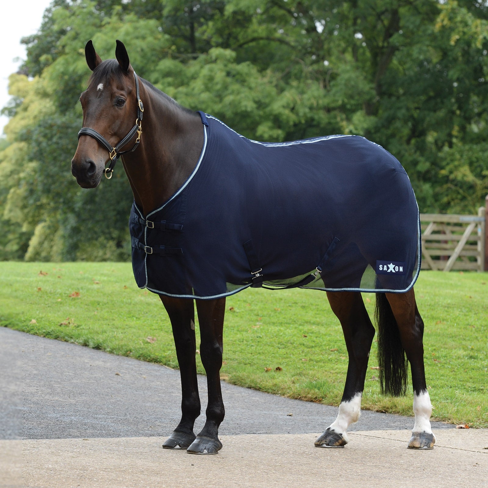 Saxon Element Netz Abschwitzdecke Pferdedecken