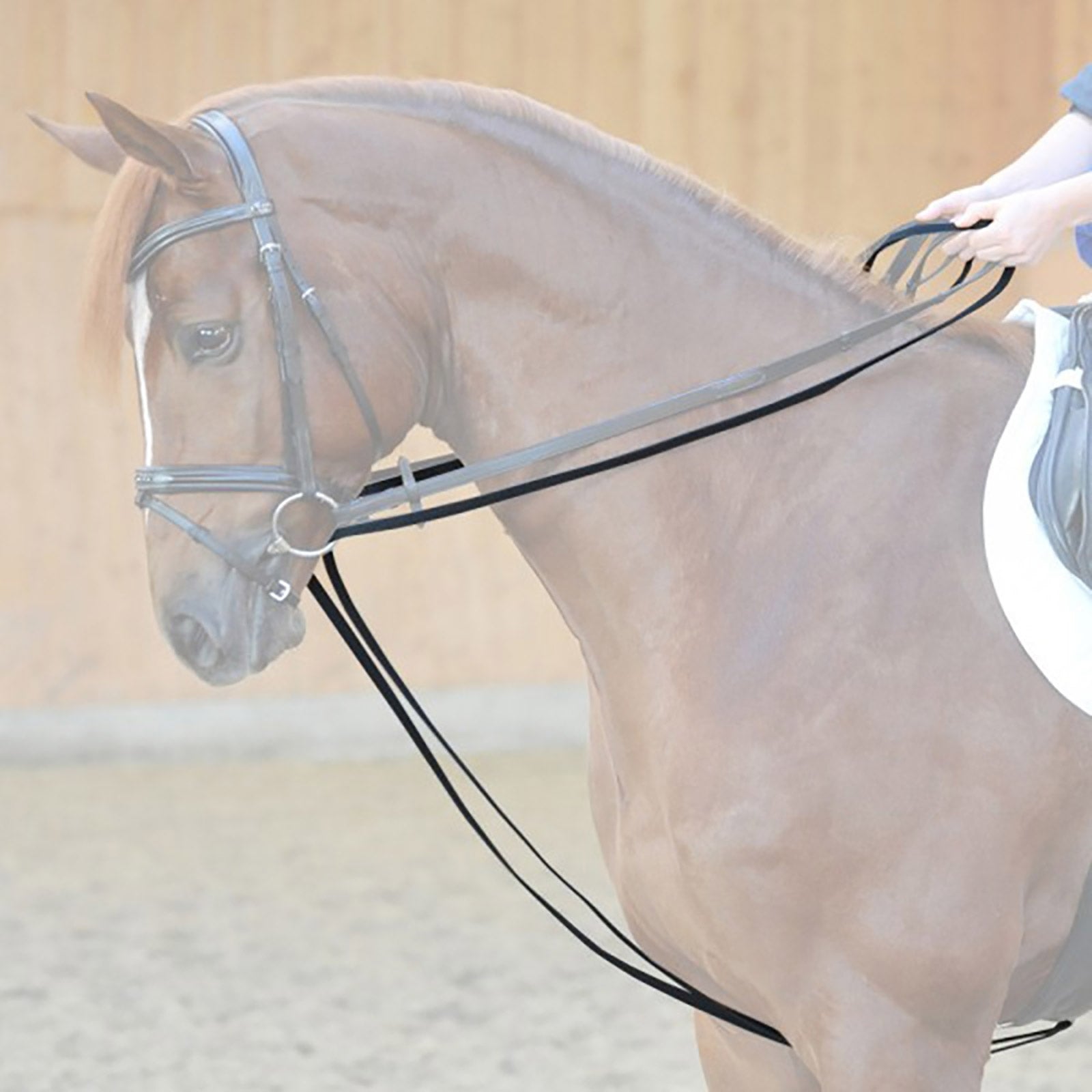 Kavalkade Draw reins 16mm, leather Bridles & Reins