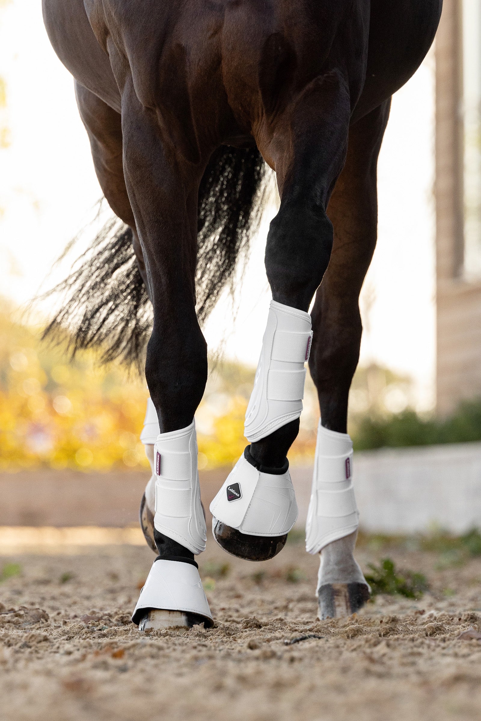 LeMieux ProShell Hufglocken Leg Protection & Hoof Protection for Horses