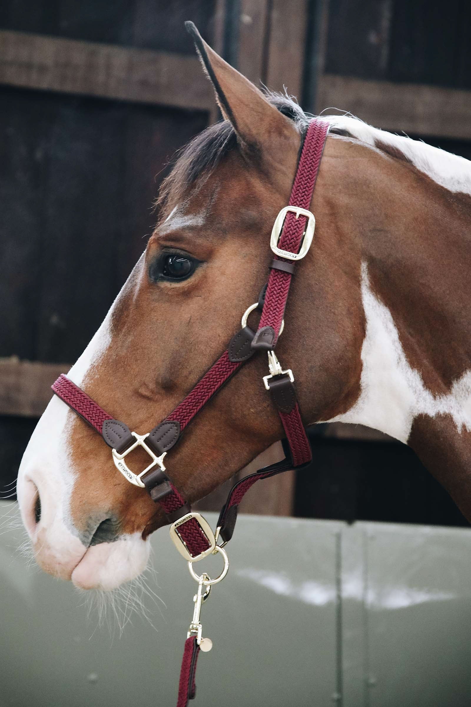 Kentucky Horsewear Plaited Nylon Stallhalfter Halfter & Stricke