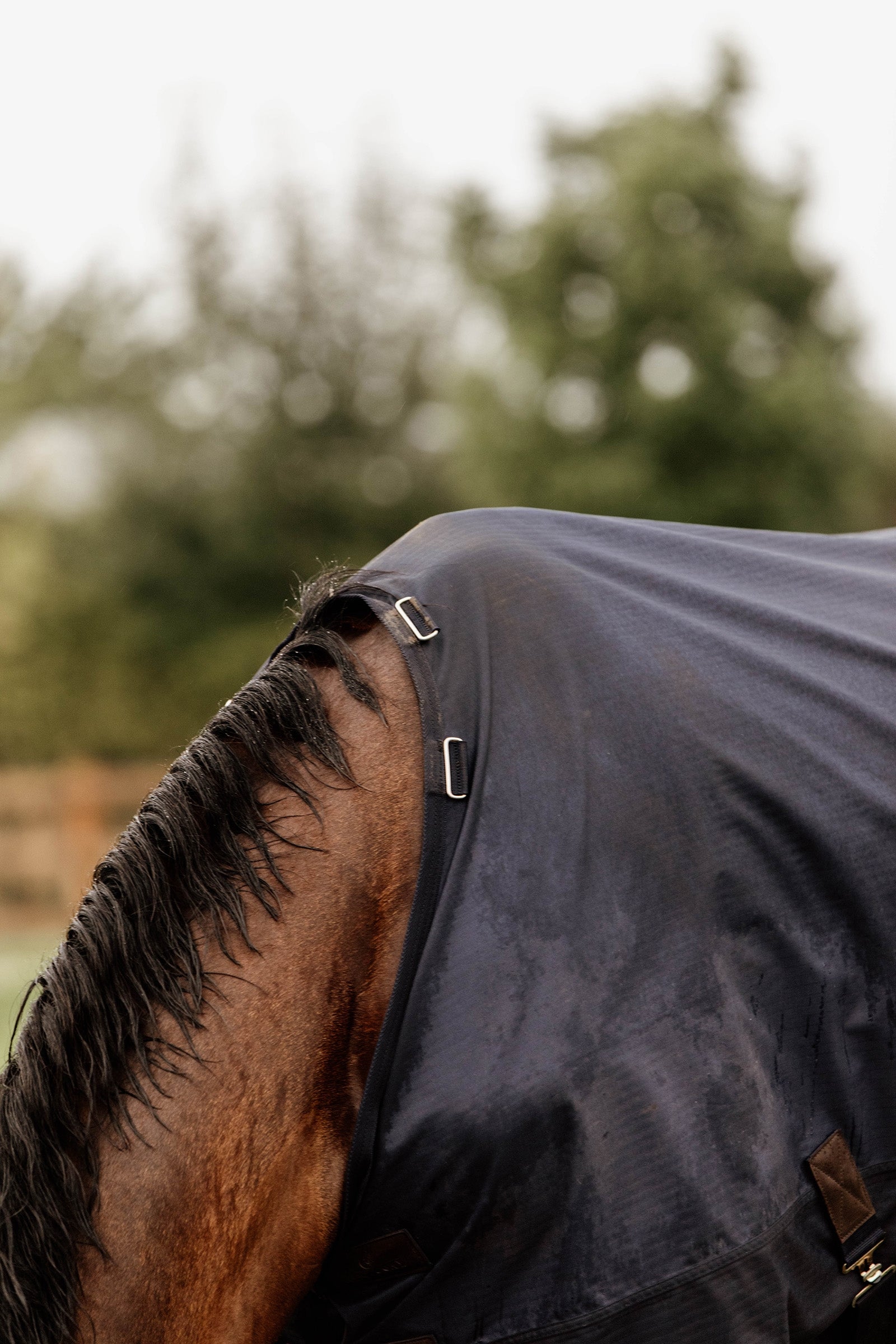 Kentucky Horsewear Turnout Rug All Weather, 300g Horse Rugs