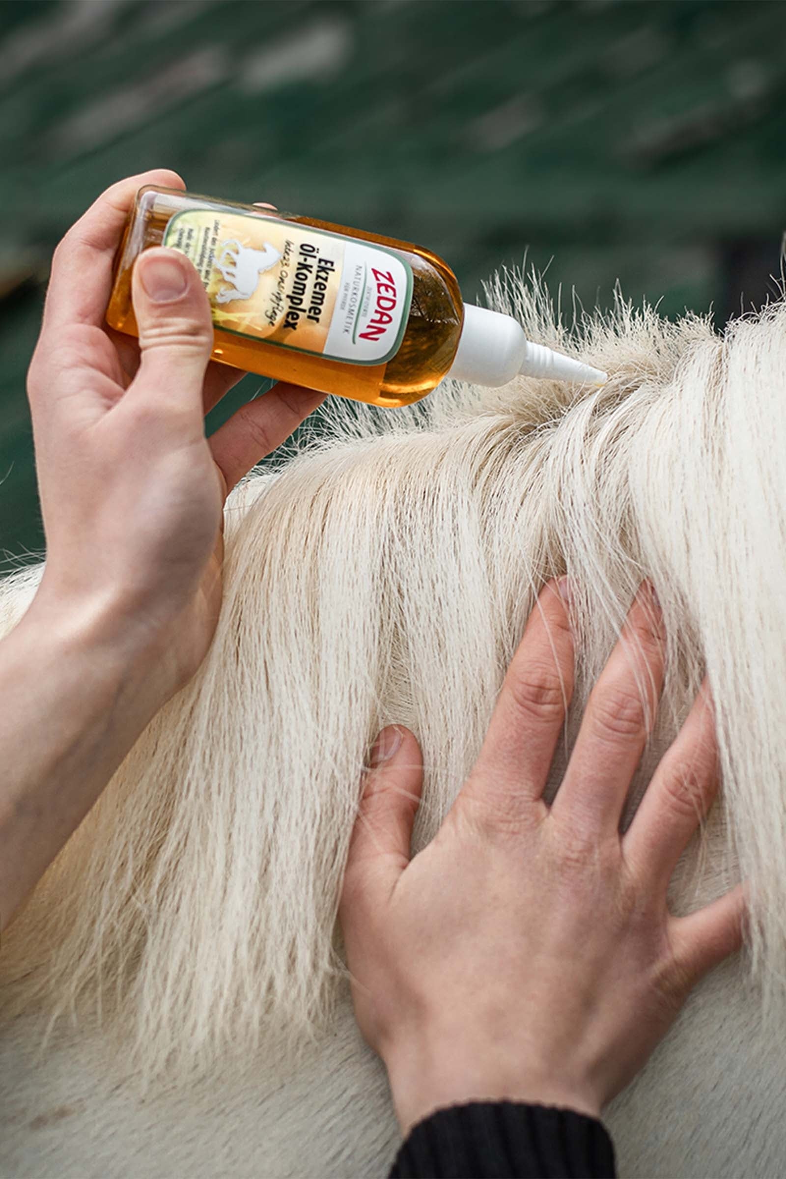 Zedan Eczema Oil Complex Intensive Care, 100 ml Horse Health Care