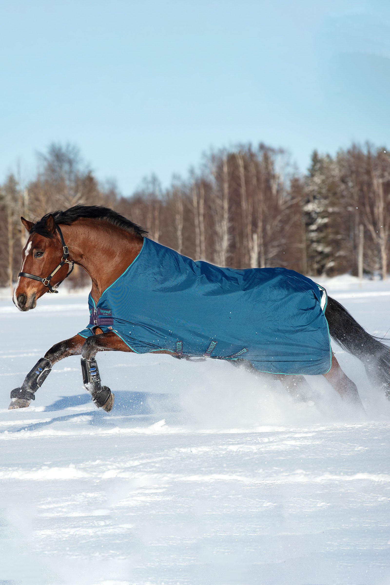 Horseware Rhino Original Vari-Layer Winterdecke, 250g Pferdedecken