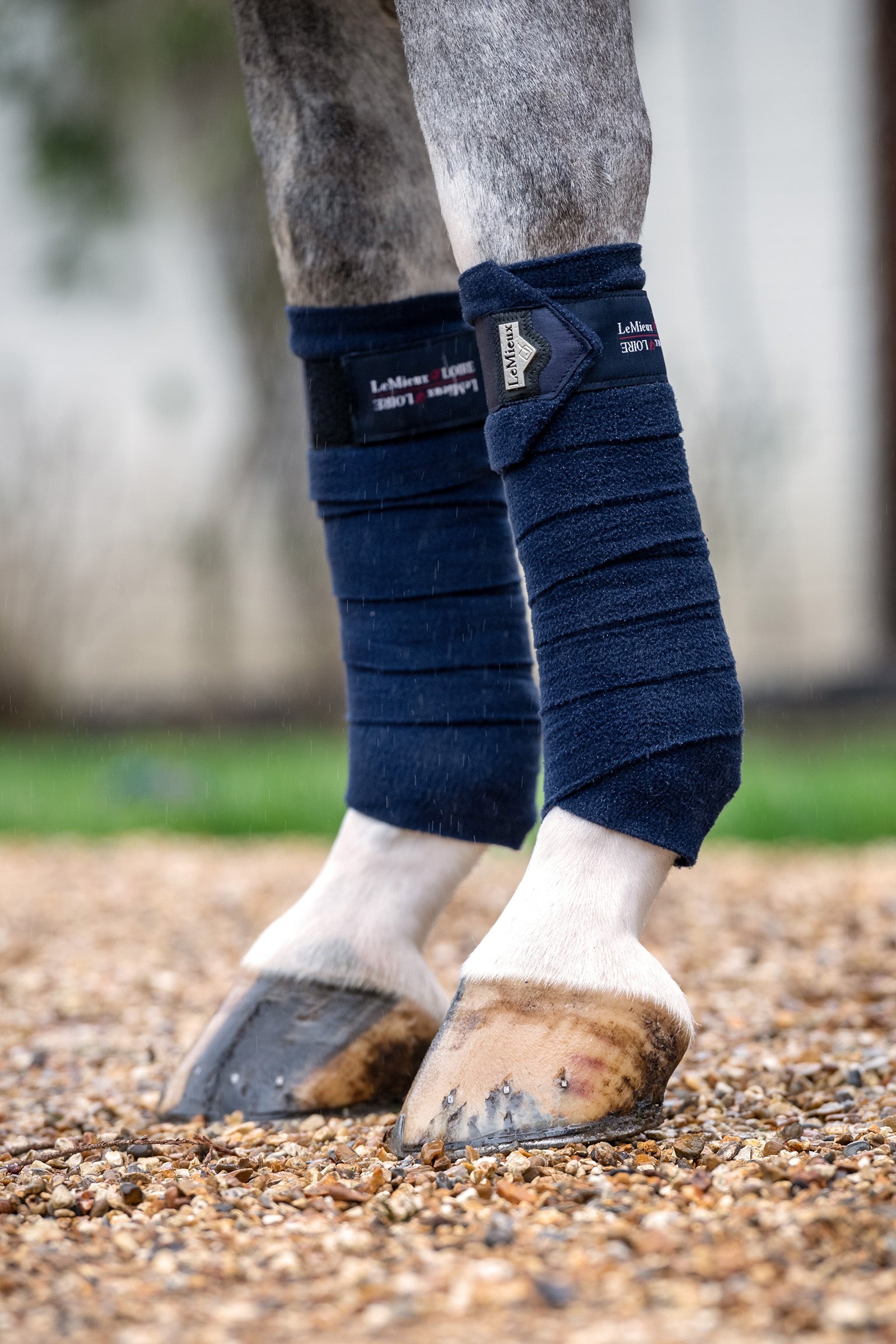 LeMieux Loire Polo-Bandagen Leg Protection & Hoof Protection for Horses
