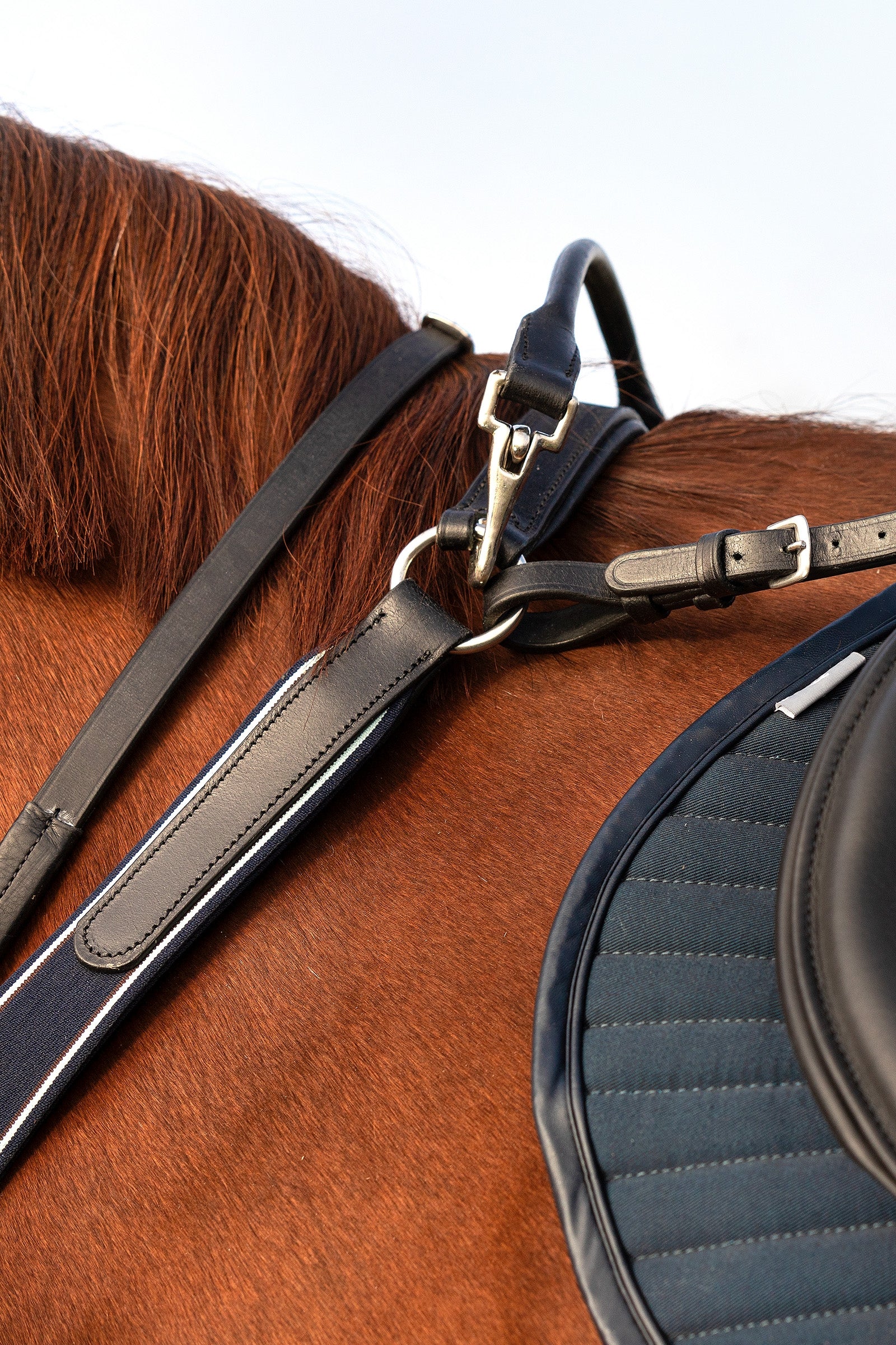 Horseware Rambo Micklem Breastplate Bridles & Reins