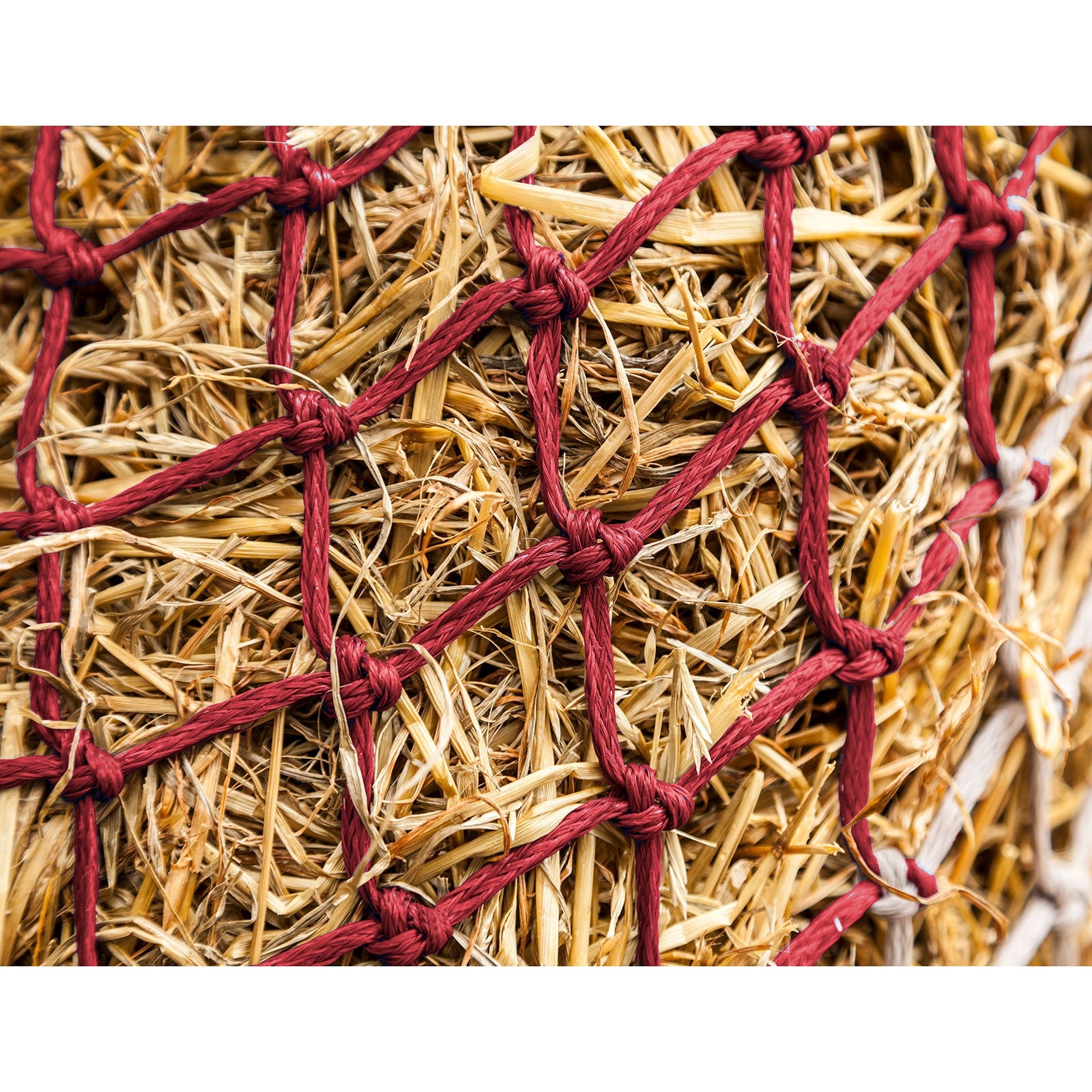 LeMieux Hippo Haynet Horse Feeders & Waterers