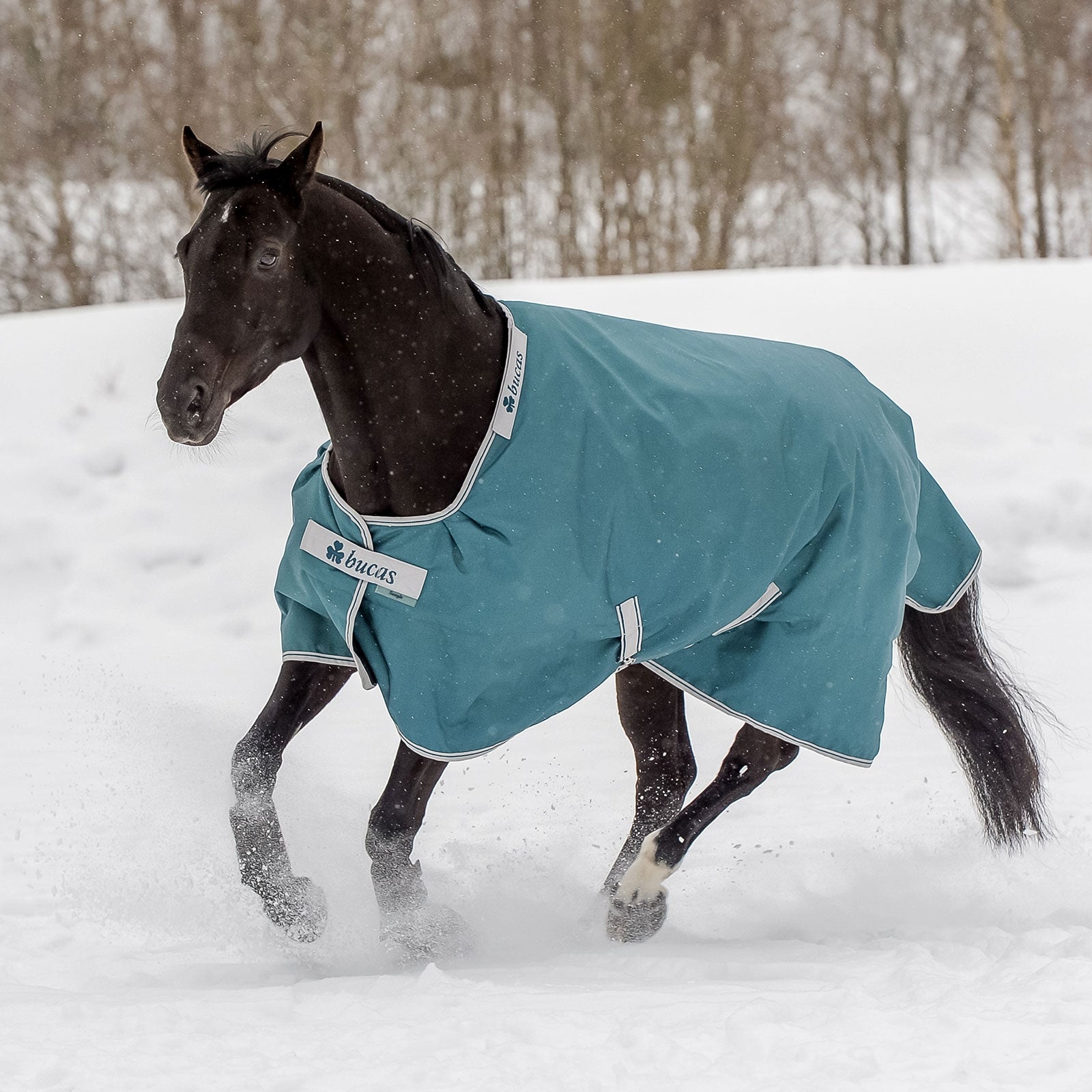 Bucas Atlantic Turnout Winterdecke, 400g Pferdedecken