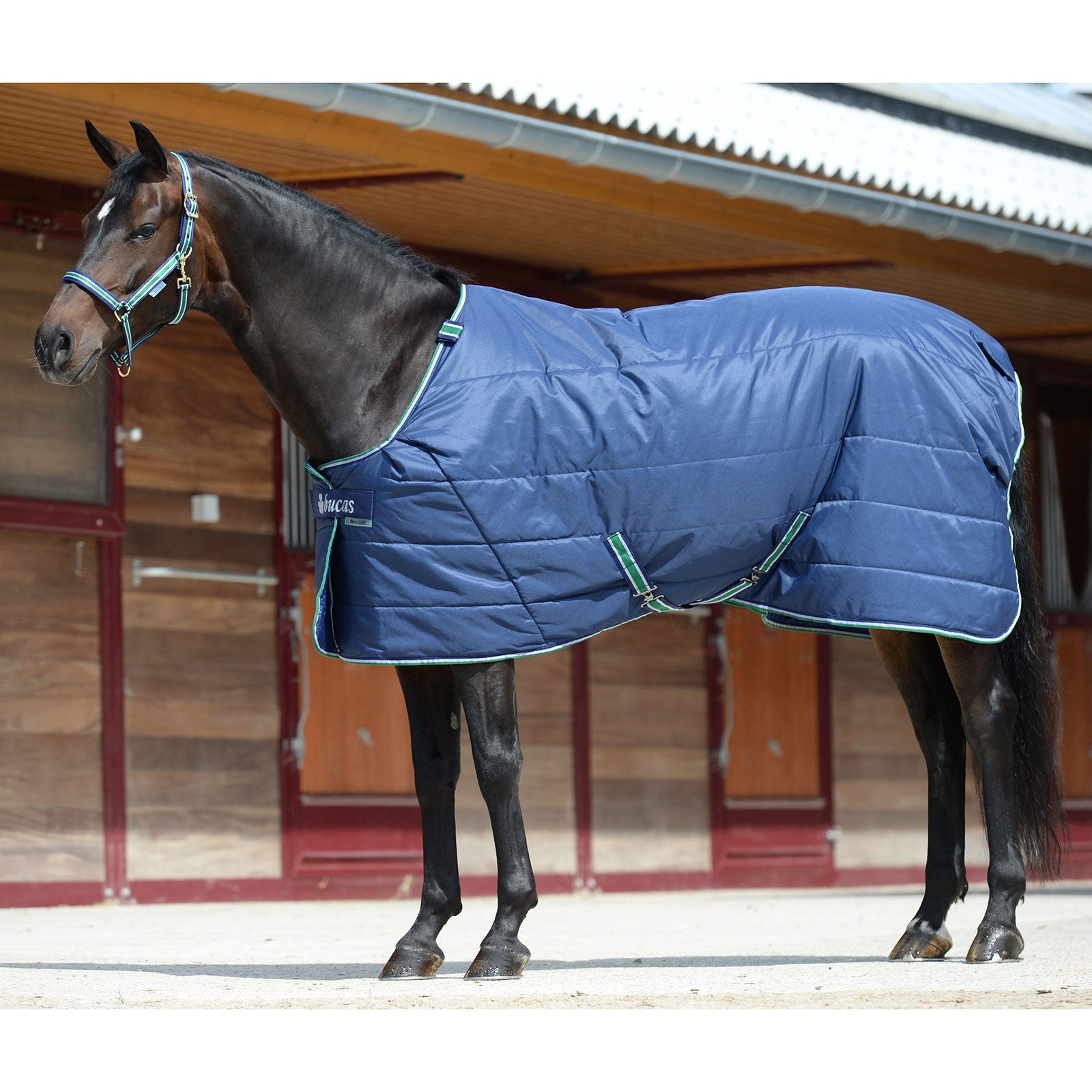 Bucas Quilt Silk-feel, 150g Horse Rugs
