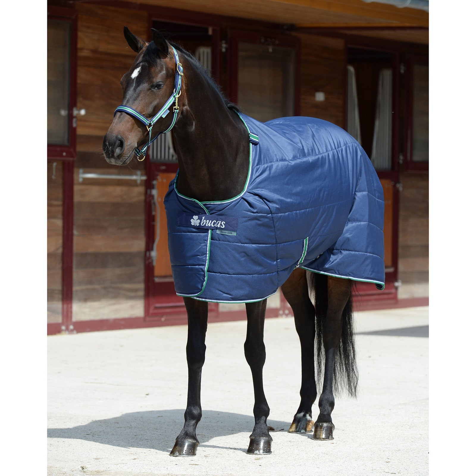 Bucas Quilt Stay Dry Unterdecke, 300g Pferdedecken