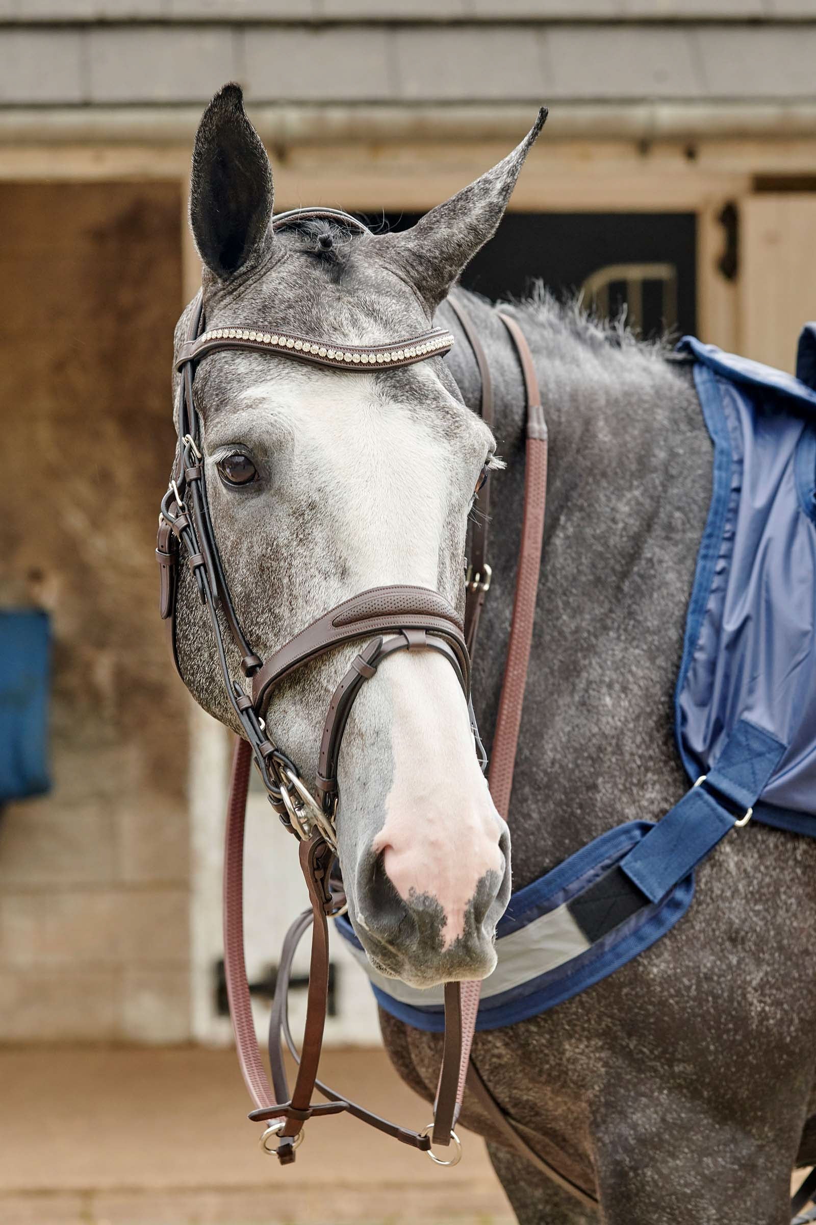 John Whitaker Chicago perforierte Trense mit Glitzer Trensenzäume & Zügel