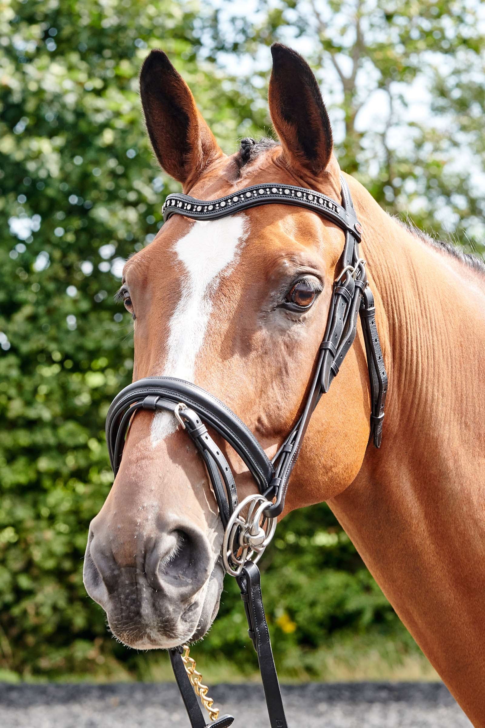 John Whitaker Lynton Flash Bridle with Spare Browband Bridles & Reins