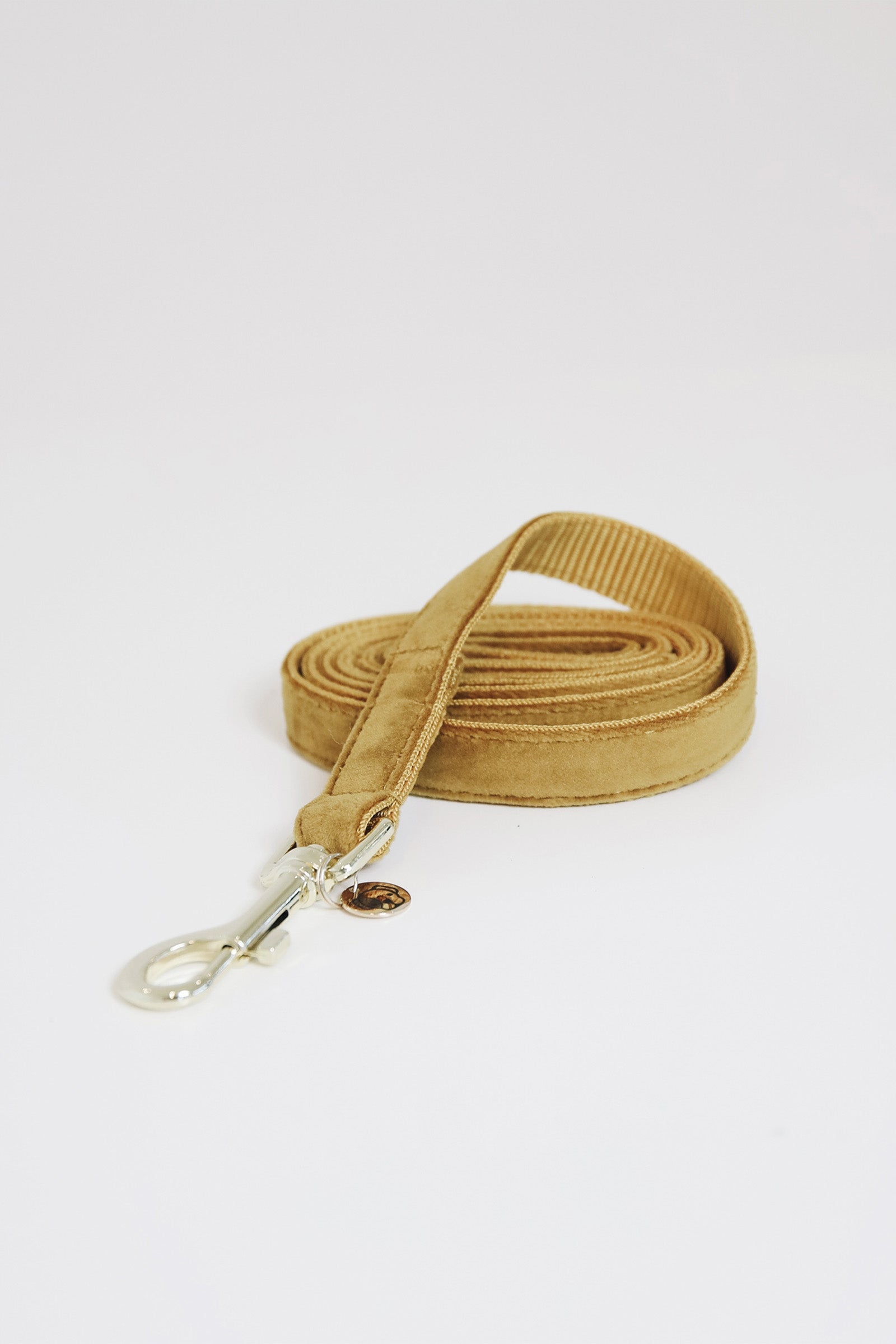 Kentucky Dogwear Hundeleine Velvet Hund