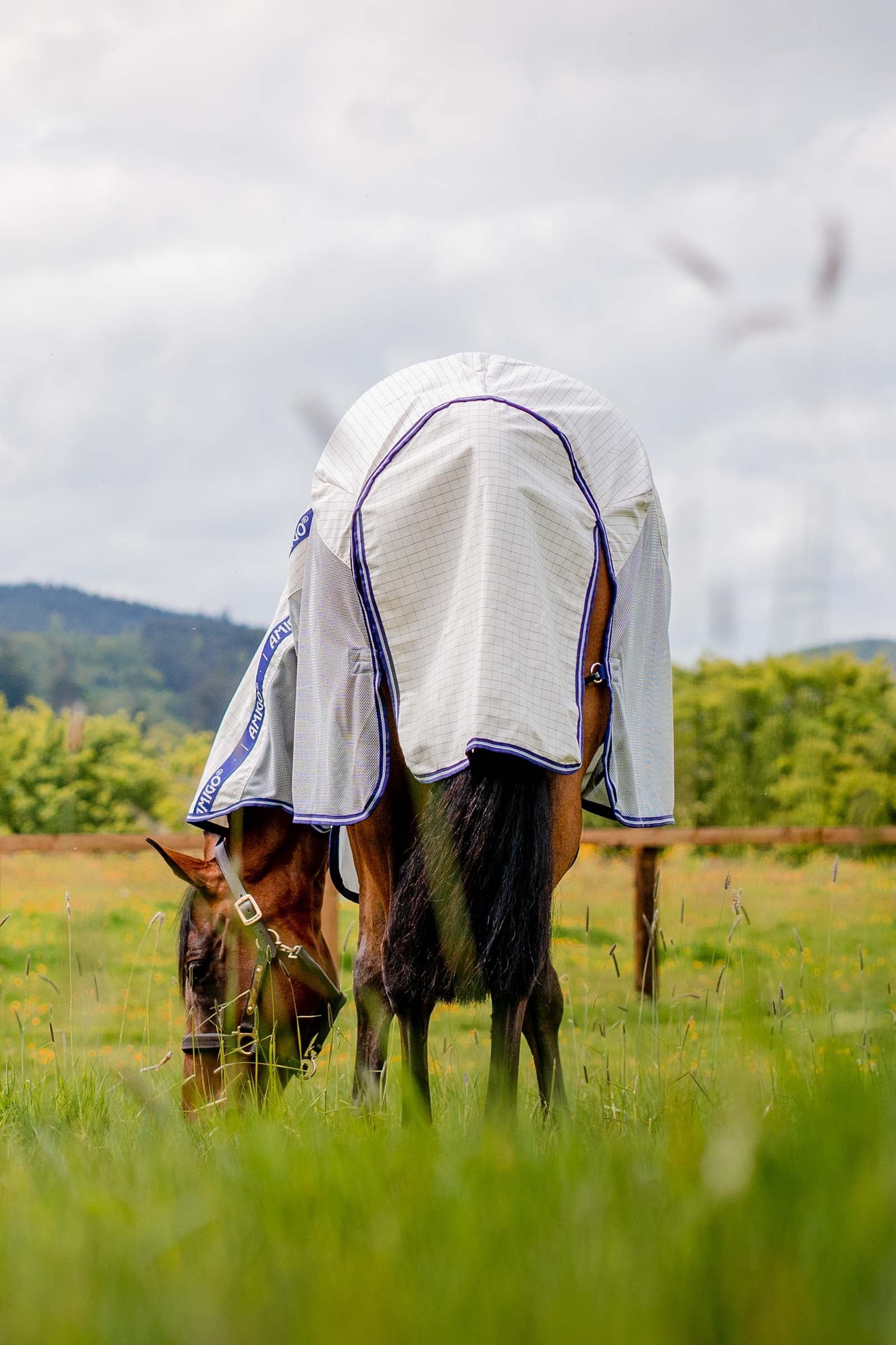 Horseware Amigo Airflow Fly Rug With Detachable Neck Horse Rugs