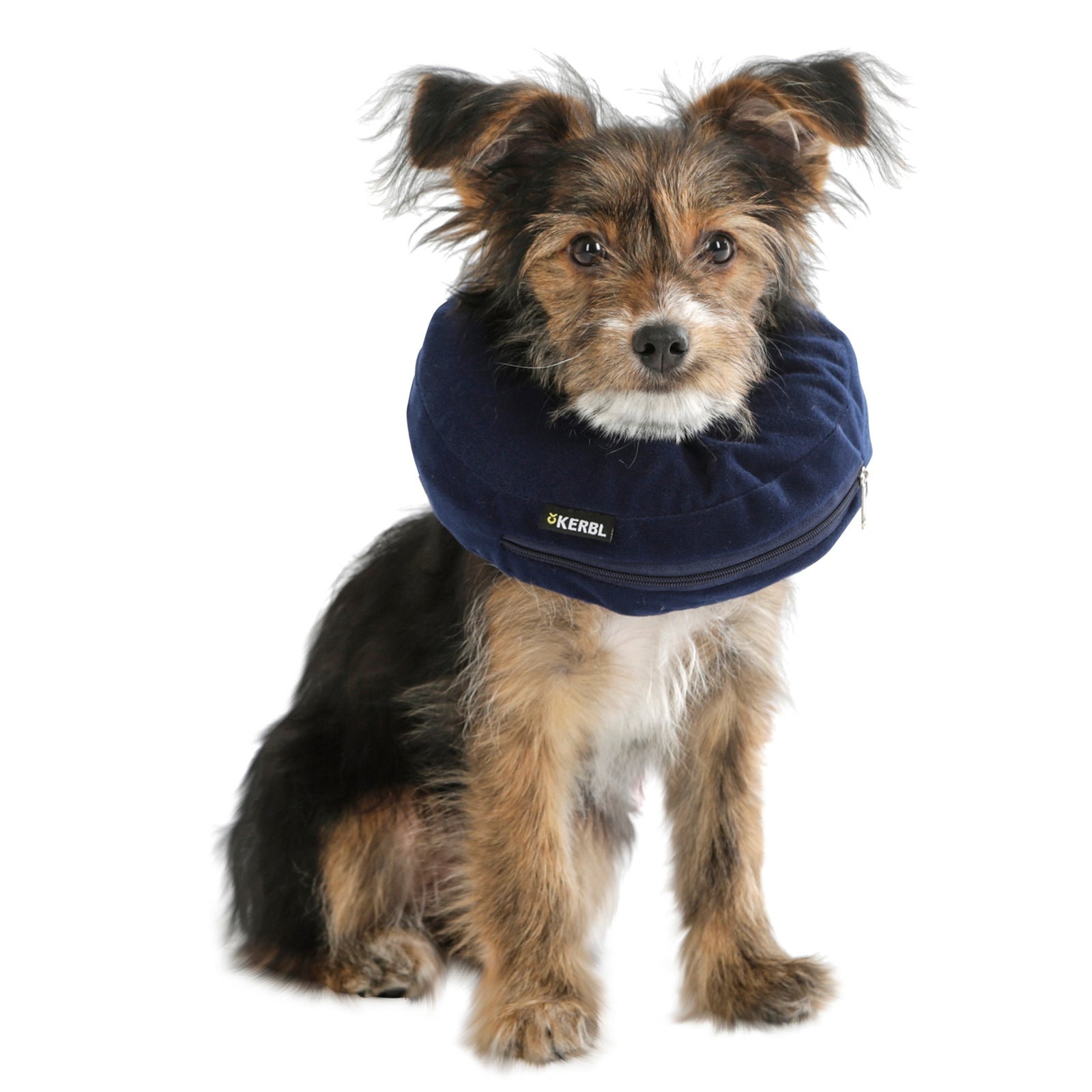 Kerbl Inflatable Dog Neck Collar 36-50cm Dog Accesories