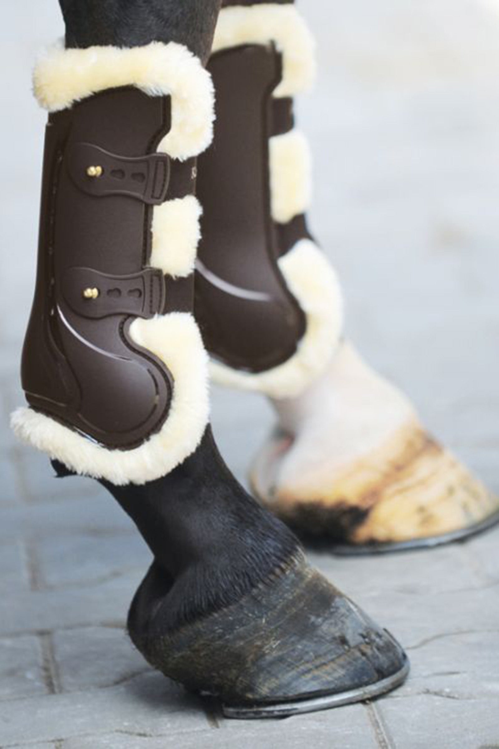 Kavalkade Hartschalen-Gamaschen Compete 'n Wool Leg Protection & Hoof Protection for Horses