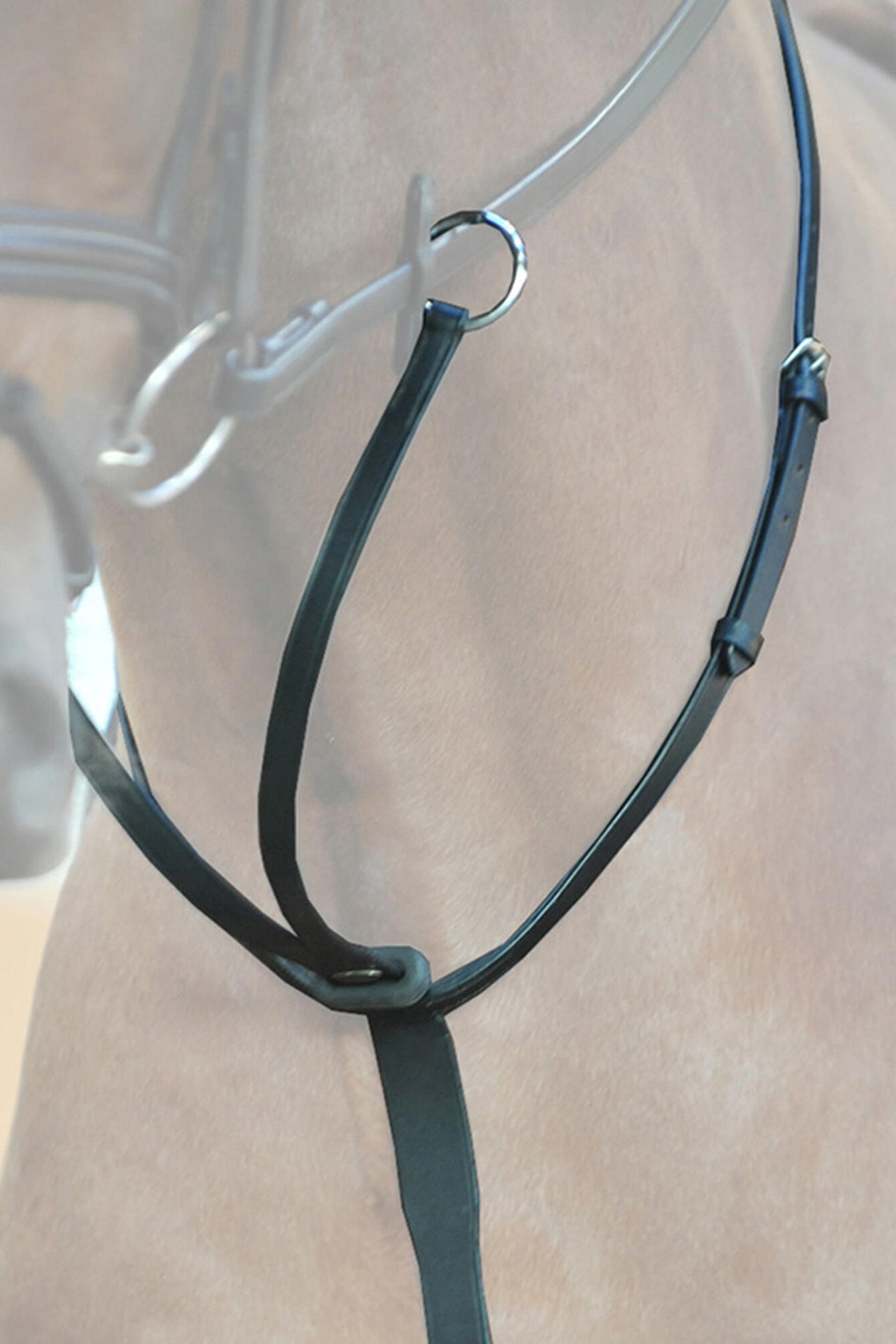 Kavalkade Ecoline Martingal with Stoppers Bridles & Reins