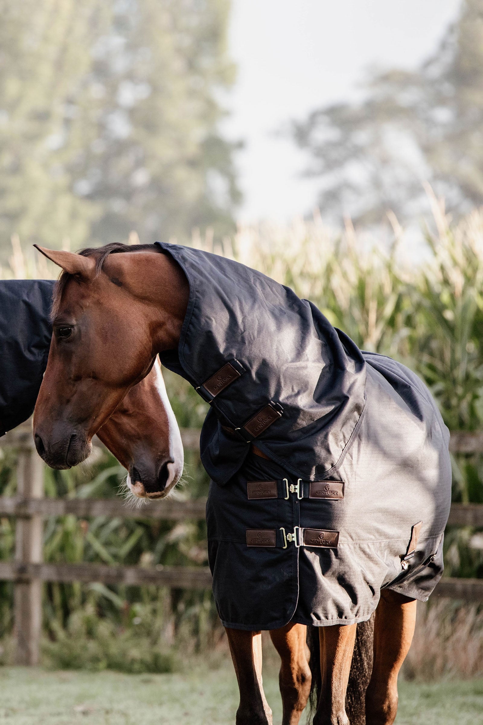 Kentucky Horsewear All Weather Waterproof Classic Regendecke, 0g Pferdedecken