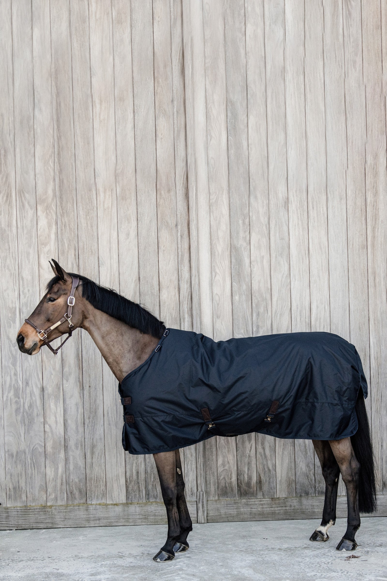 Kentucky Horsewear All Weather Waterproof Classic Regendecke, 50g Pferdedecken