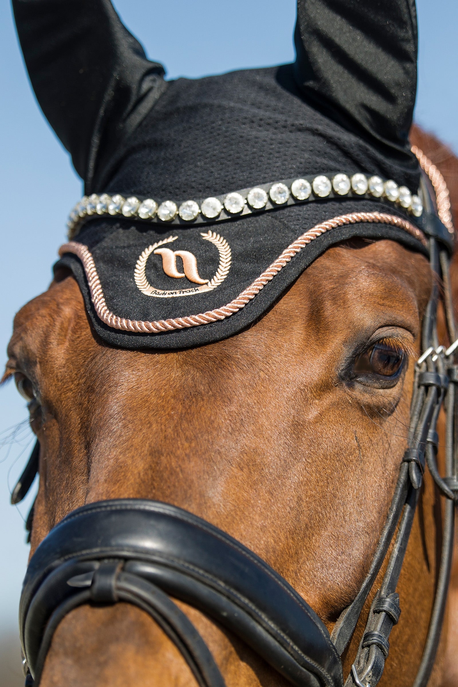 Back on Track Haze Collection Bonnet Saddle Pads