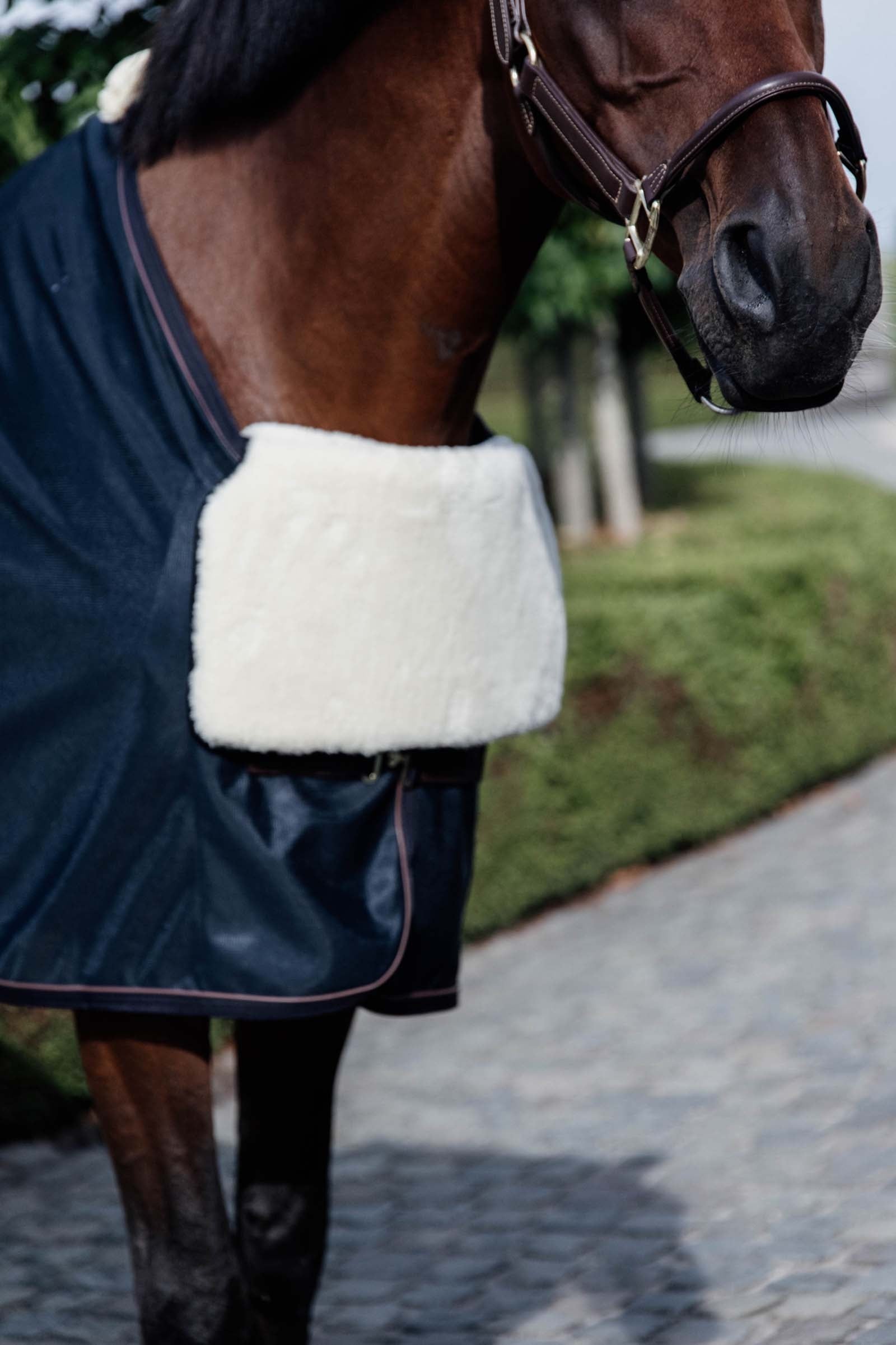 Kentucky Horsewear Horse Bib Lammfell Brustschutz Pferdedecken