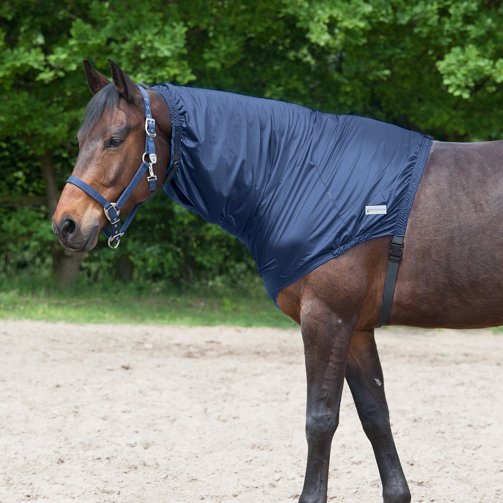 Waldhausen Ekzemer Halsteil Pferdedecken