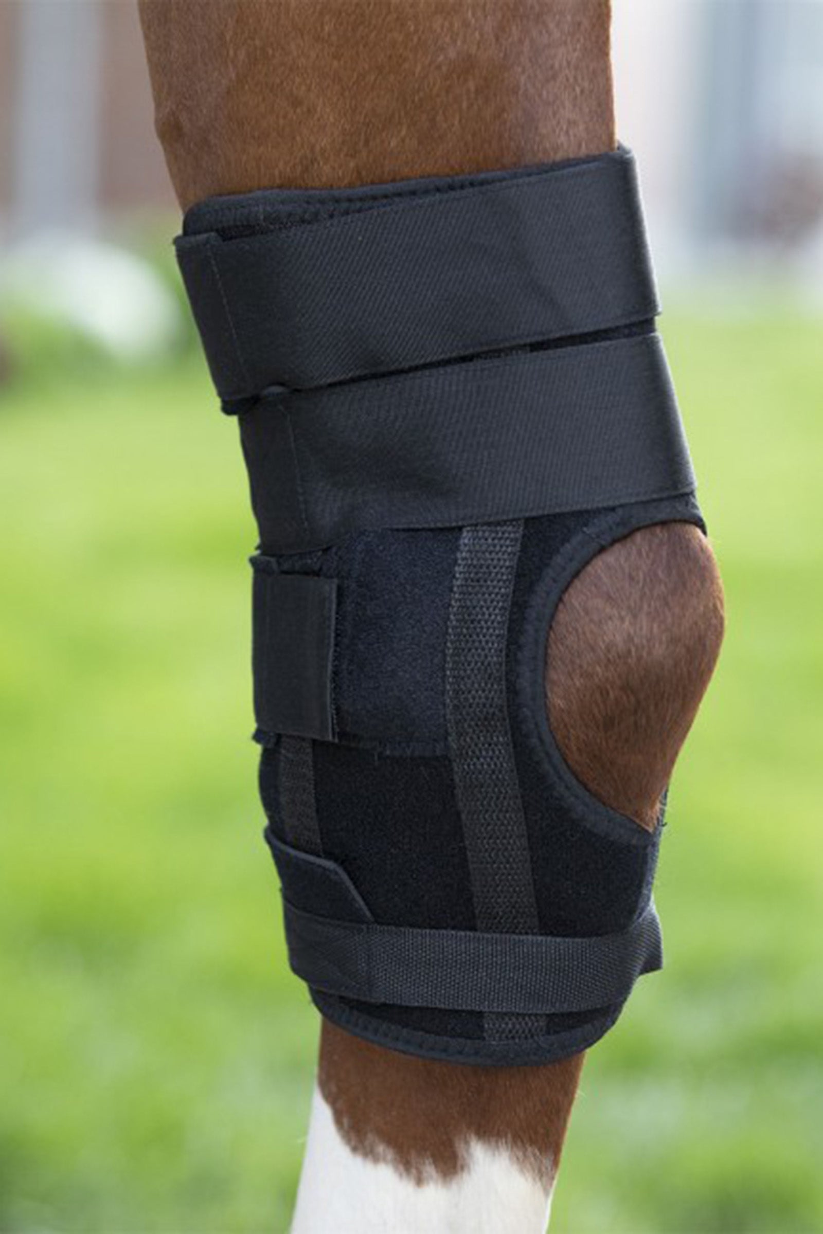 Waldhausen Health & Care Hock Boot Leg Protection & Hoof Protection for Horses