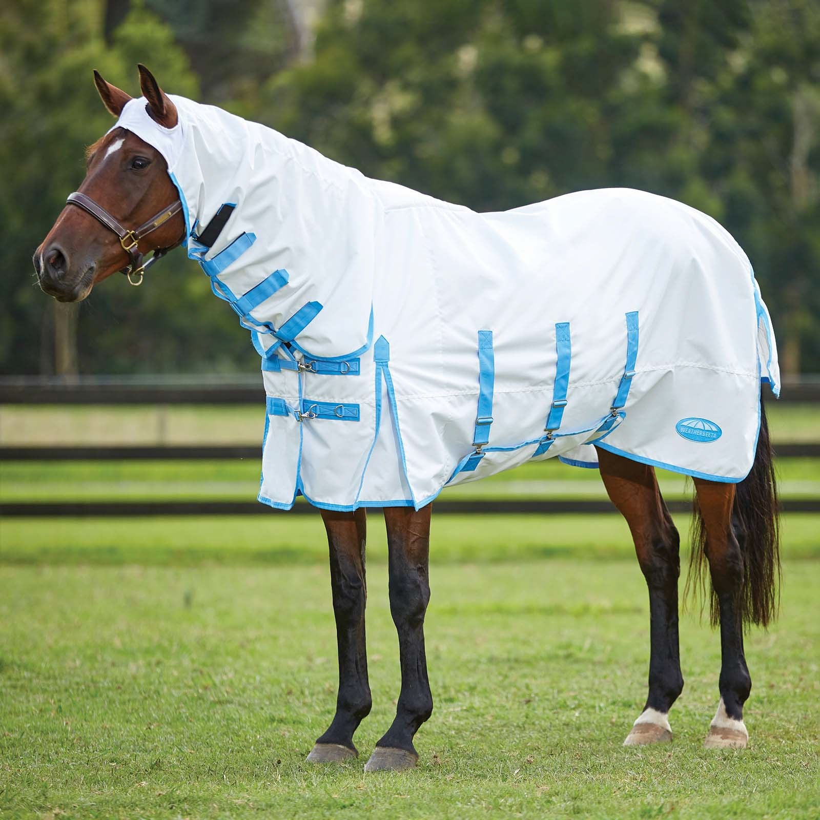 Weatherbeeta Comfitec Ekzemerdecke mit festem Halsteil Pferdedecken