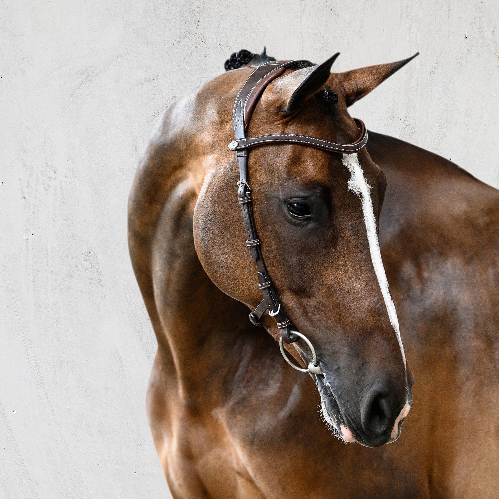 PS of Sweden Bridle Helsinki Bridles & Reins