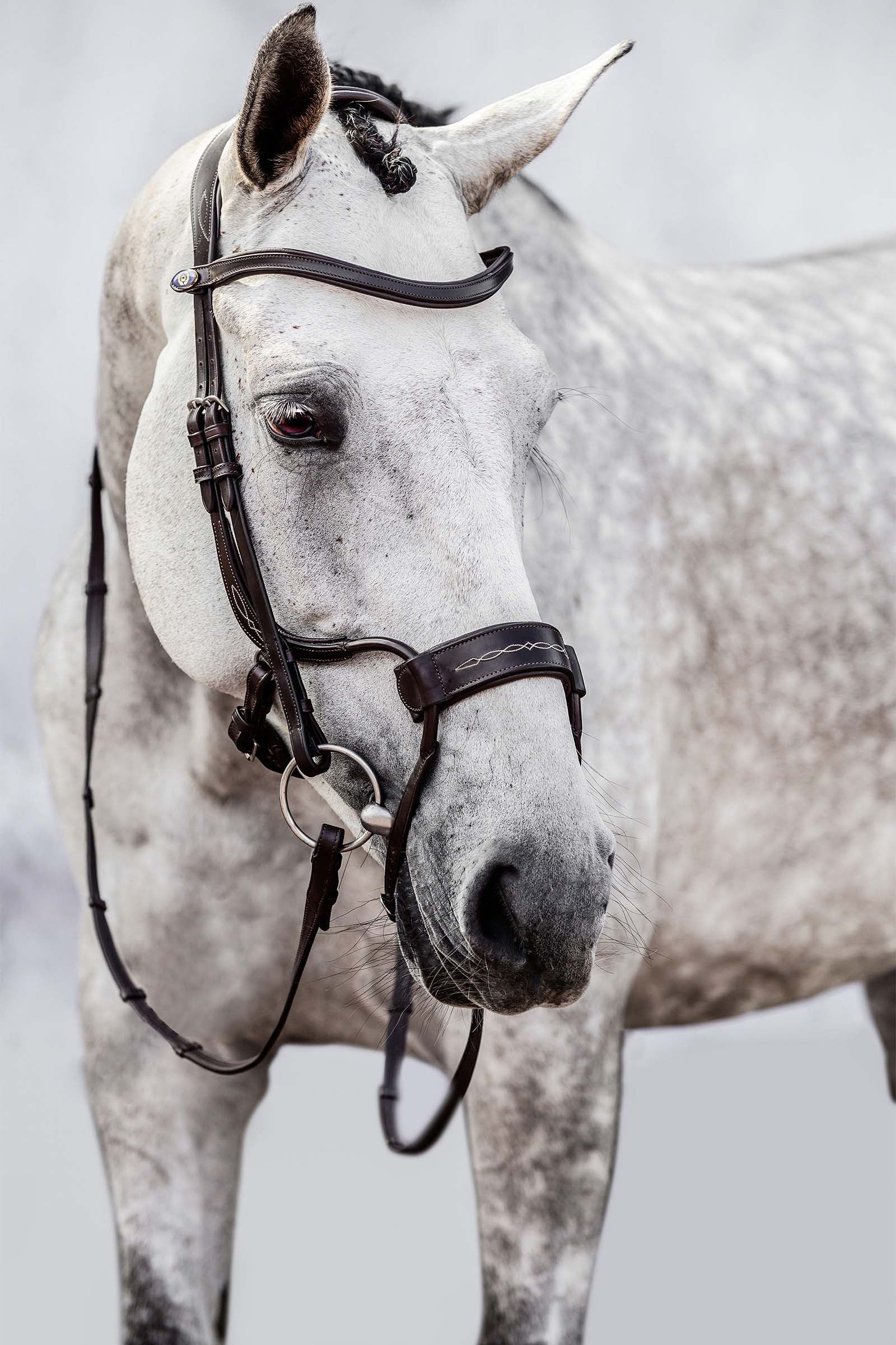 PS of Sweden High Jump Bridle Bridles & Reins