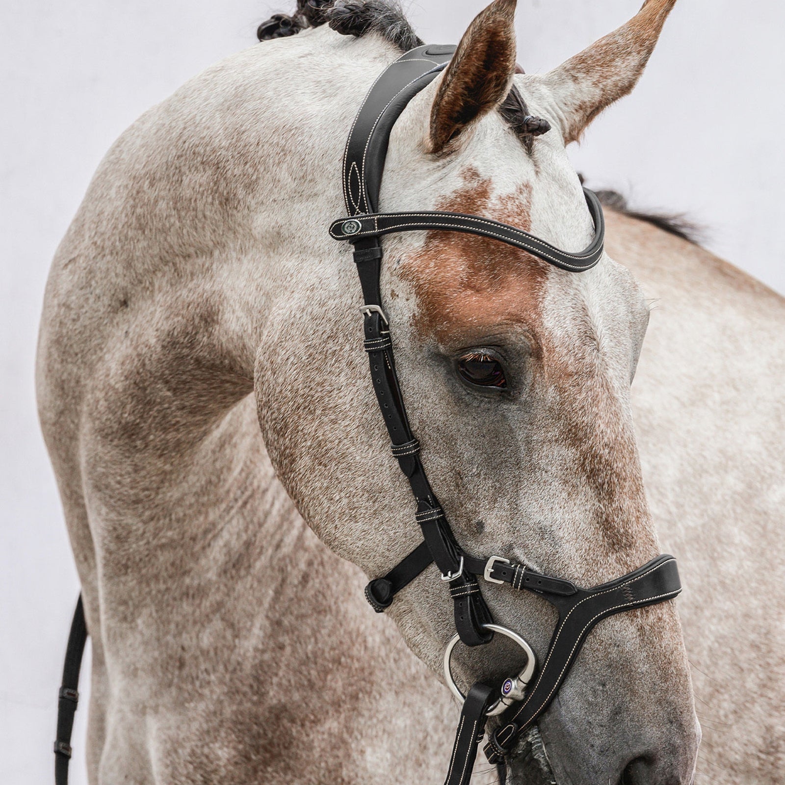 PS of Sweden bridle Nirak Bridles & Reins