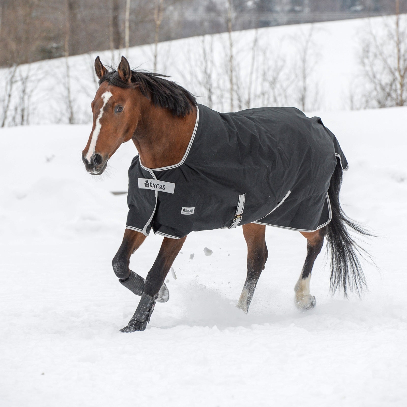 Bucas Anniversary Light SD Turnout Regendecke, 150g Pferdedecken