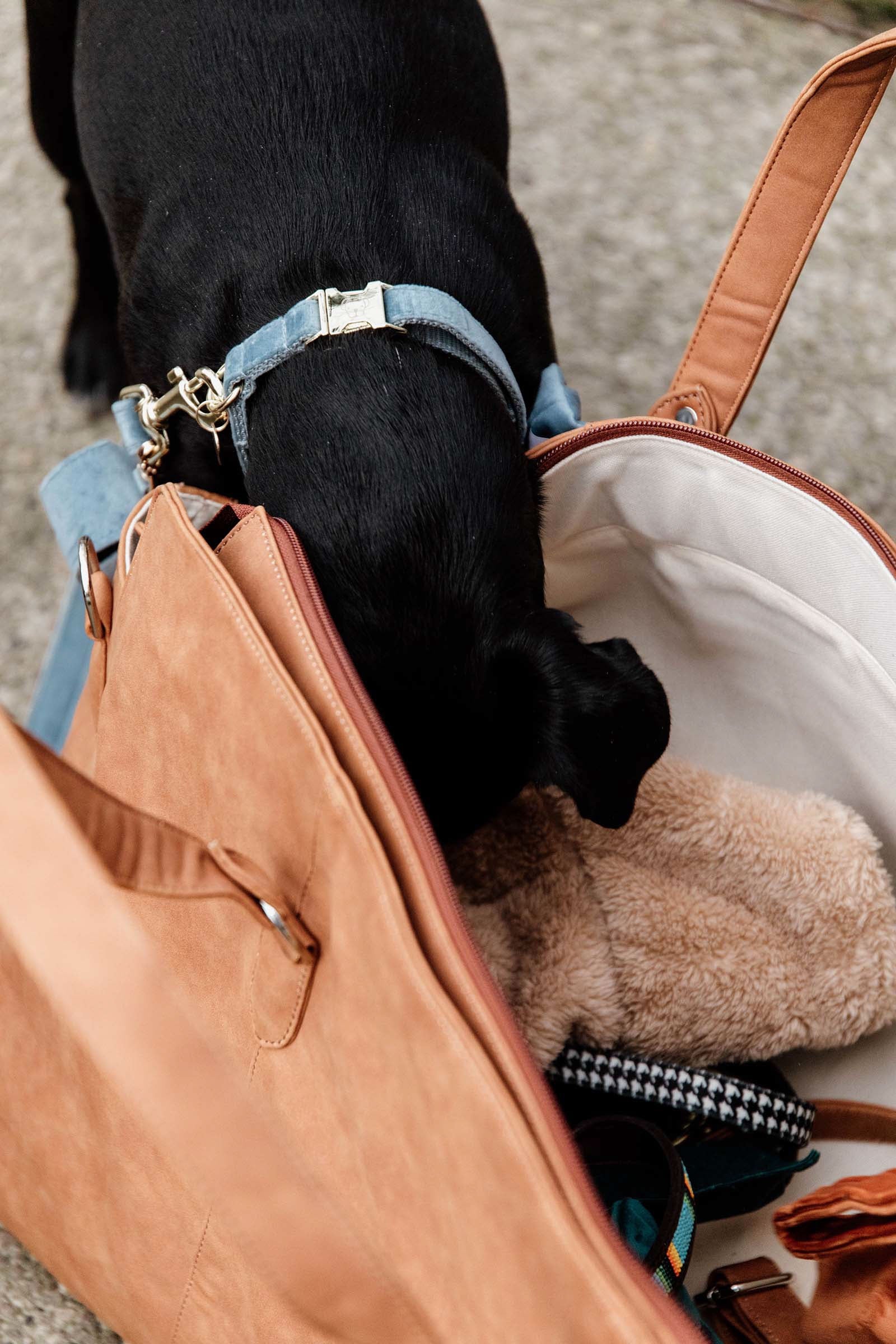 Grooming Deluxe Chestnut Travel Bag Accessories